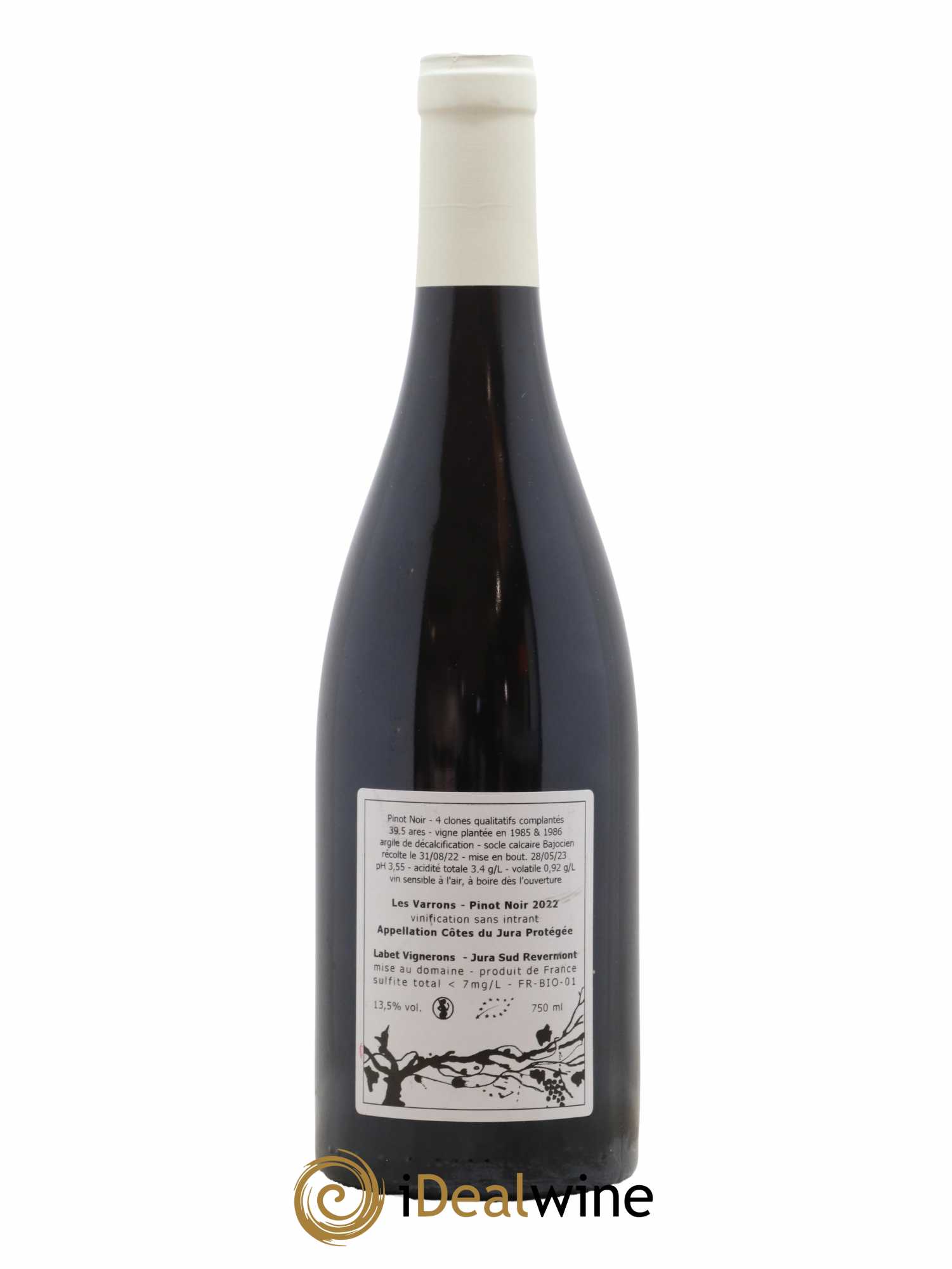 Côtes du Jura Pinot Noir Les Varrons Sélection Massale Romain - Julien  - Charline Labet 2022 - Lot de 1 bouteille - 1