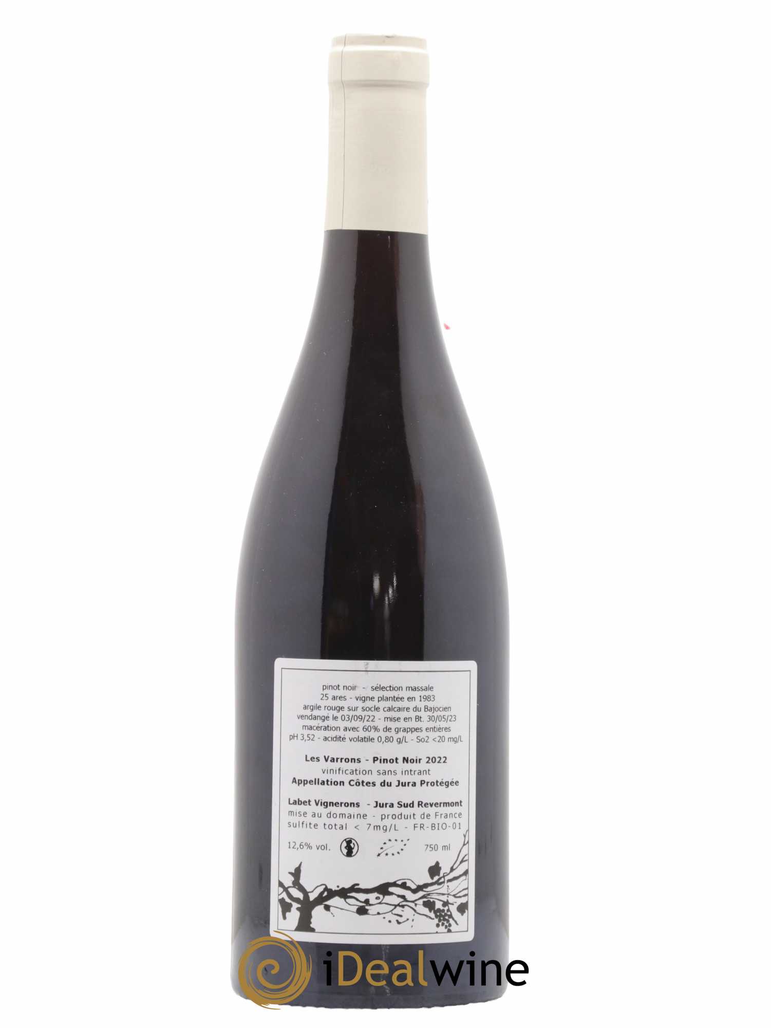 Côtes du Jura Pinot Noir Les Varrons Sélection Massale Romain - Julien - Charline Labet 2022 - Lot de 1 bouteille - 1