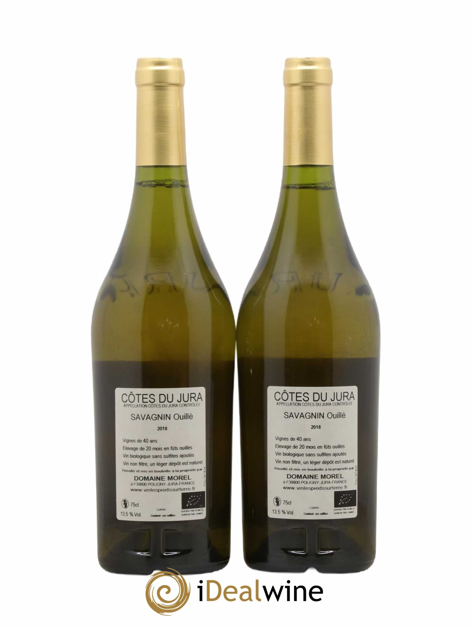Côtes du Jura Les pieds sur Terre Savagnin Ouillé Morel 2018 - Posten von 2 Flaschen - 1