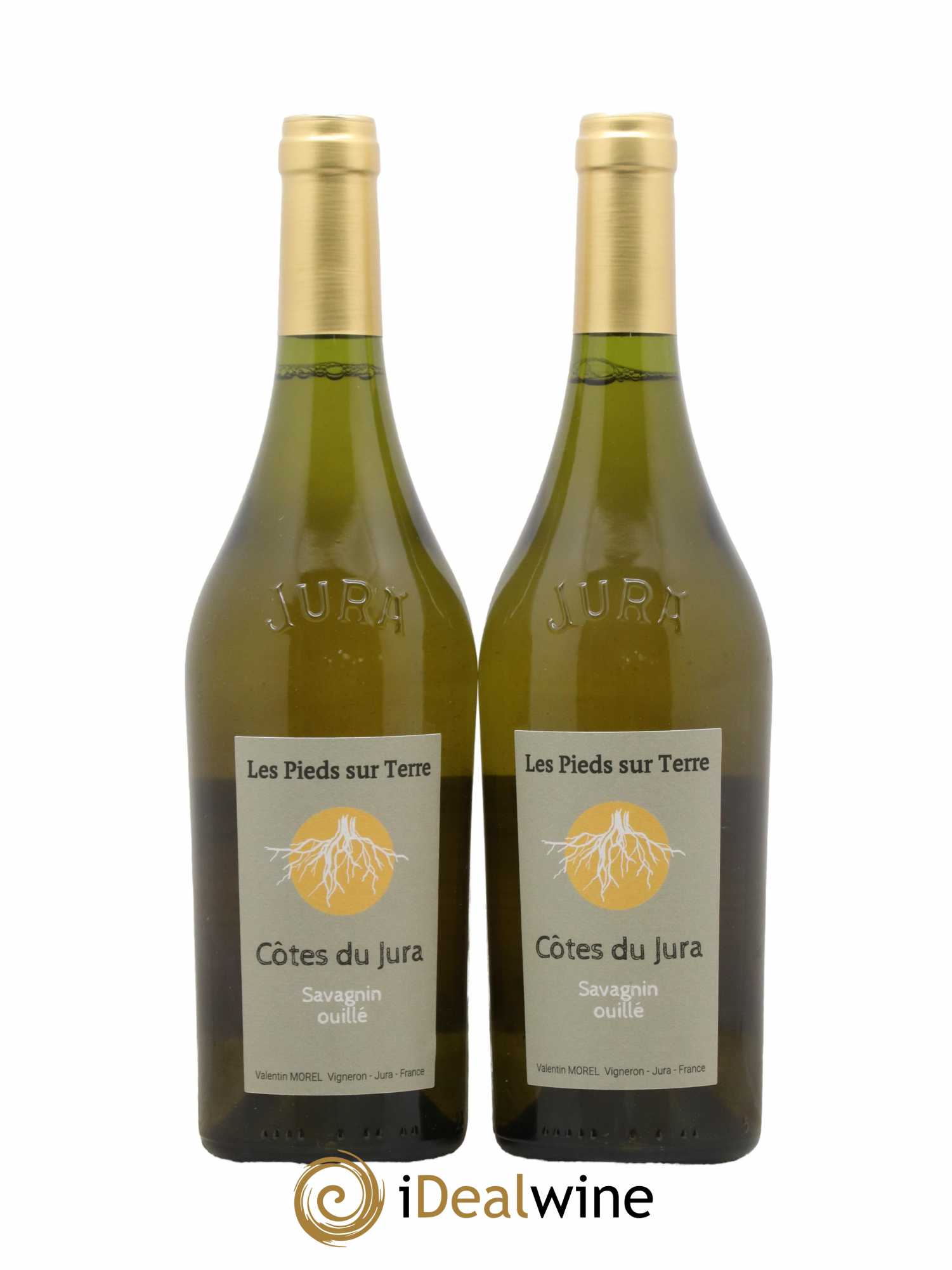 Côtes du Jura Les pieds sur Terre Savagnin Ouillé Morel 2018 - Posten von 2 Flaschen - 0