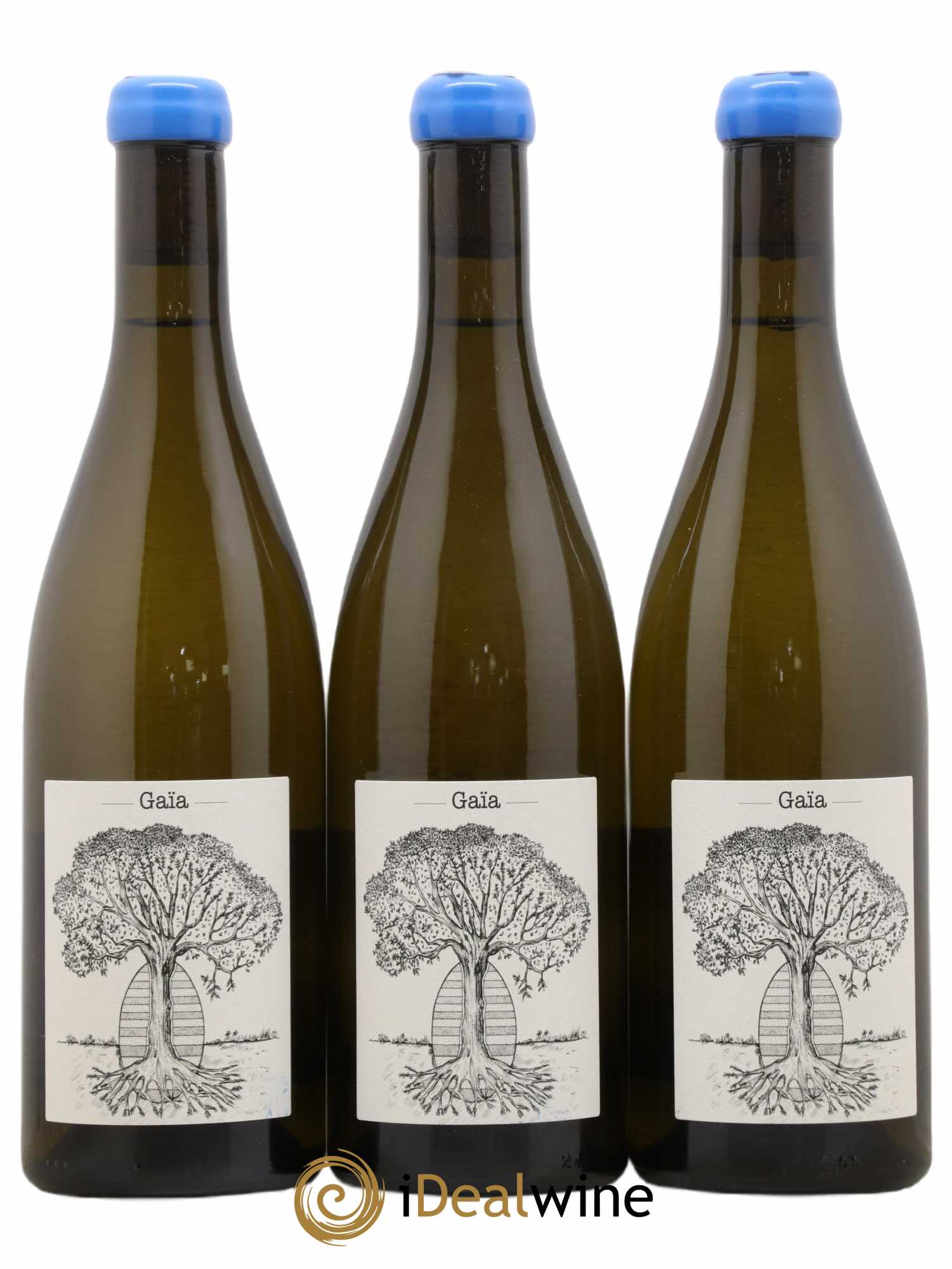 Muscadet-Sèvre-et-Maine Gaia Jérôme Bretaudeau - Domaine de Bellevue (sans prix de réserve) 2019 - Lot de 3 bouteilles - 0