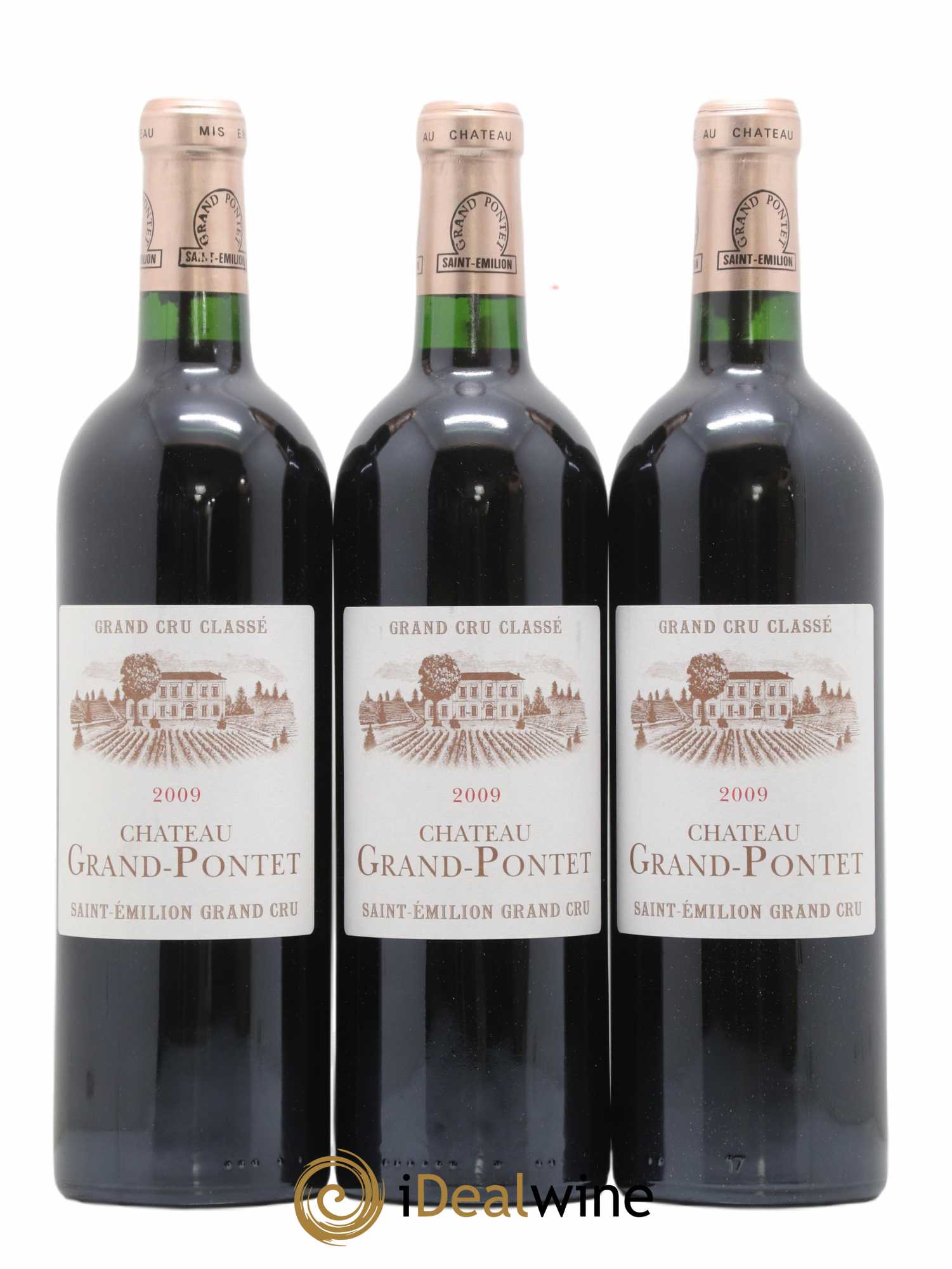Château Grand Pontet Grand Cru Classé 2009 - Lot de 12 bouteilles - 2