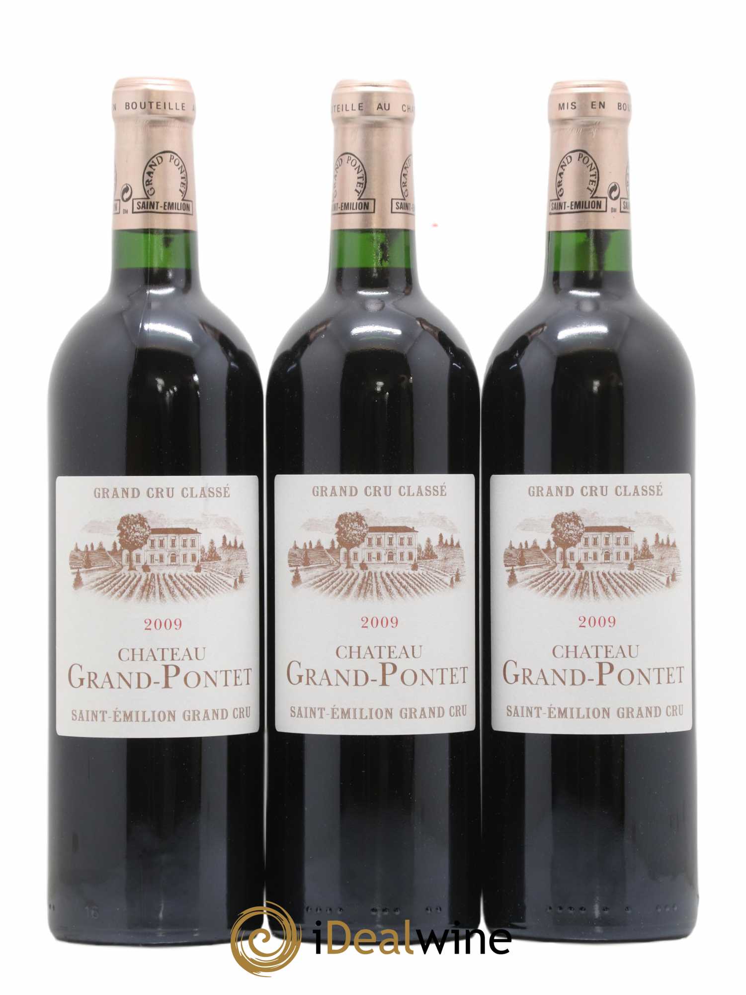 Château Grand Pontet Grand Cru Classé 2009 - Lot de 12 bouteilles - 3