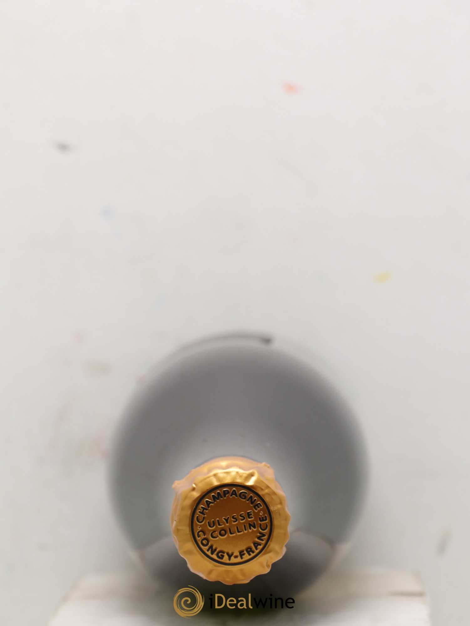 Les Pierrières Blancs de Blancs Extra-Brut Ulysse Collin - Lot de 1 bouteille - 2