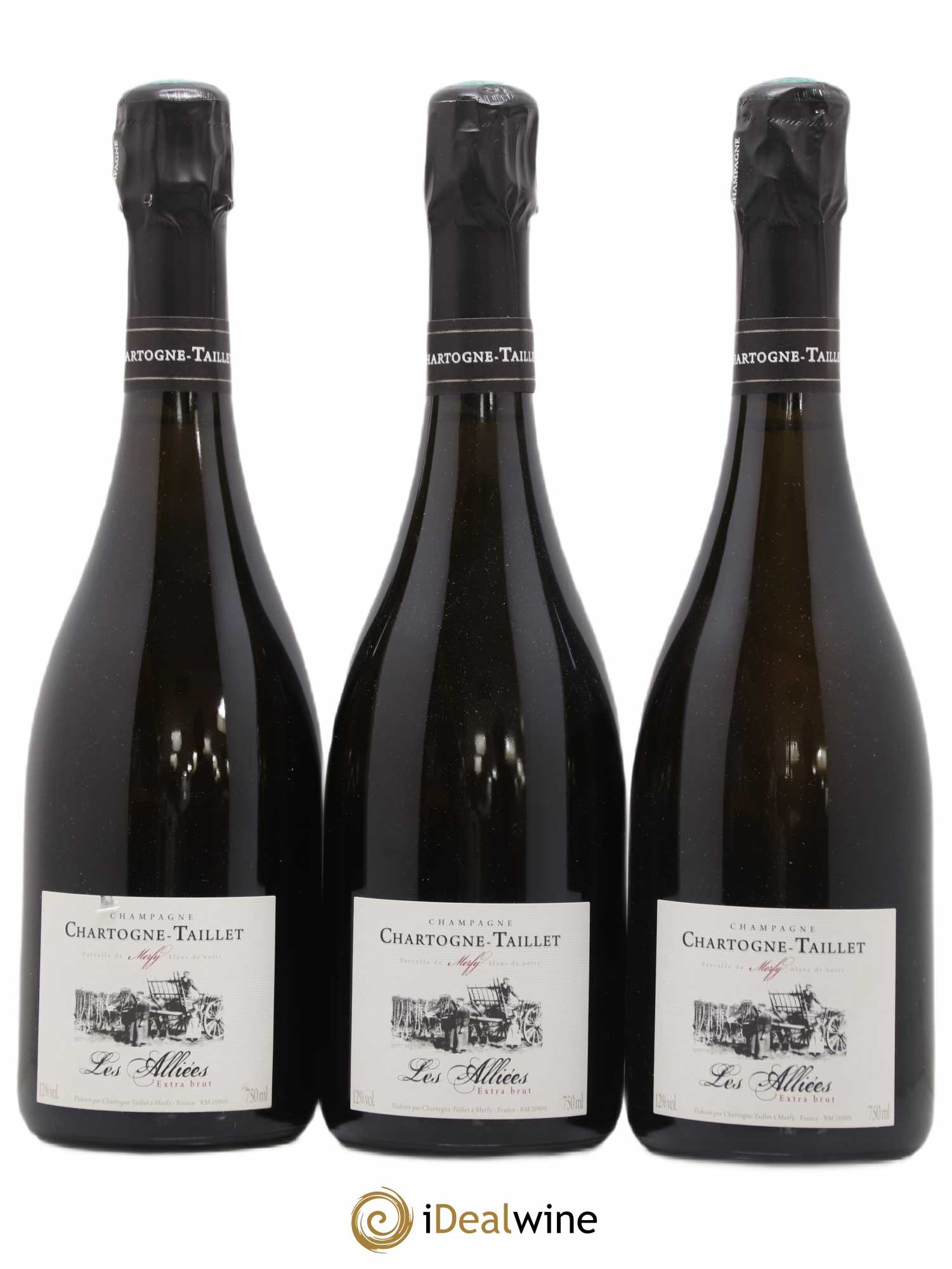 Champagne Les Alliées Chartogne Taillet (no reserve) 2008 - Lot of 3 bottles - 0
