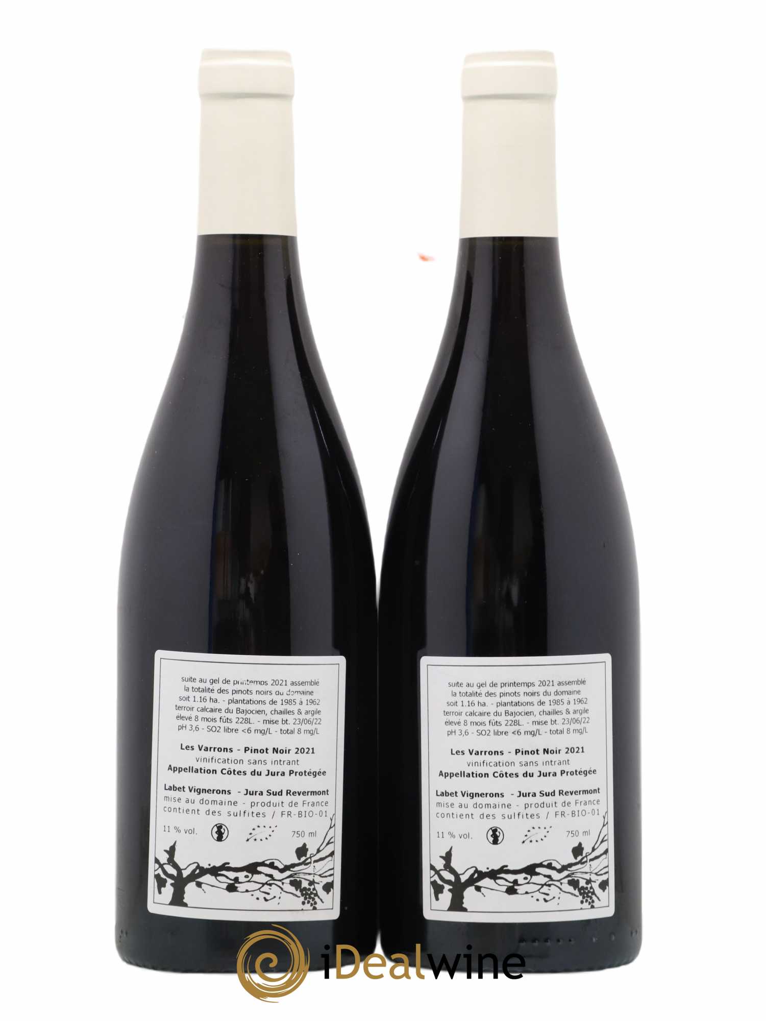 Côtes du Jura Pinot Noir Les Varrons Sélection Massale Romain - Julien  - Charline Labet 2021 - Lot of 2 bottles - 1