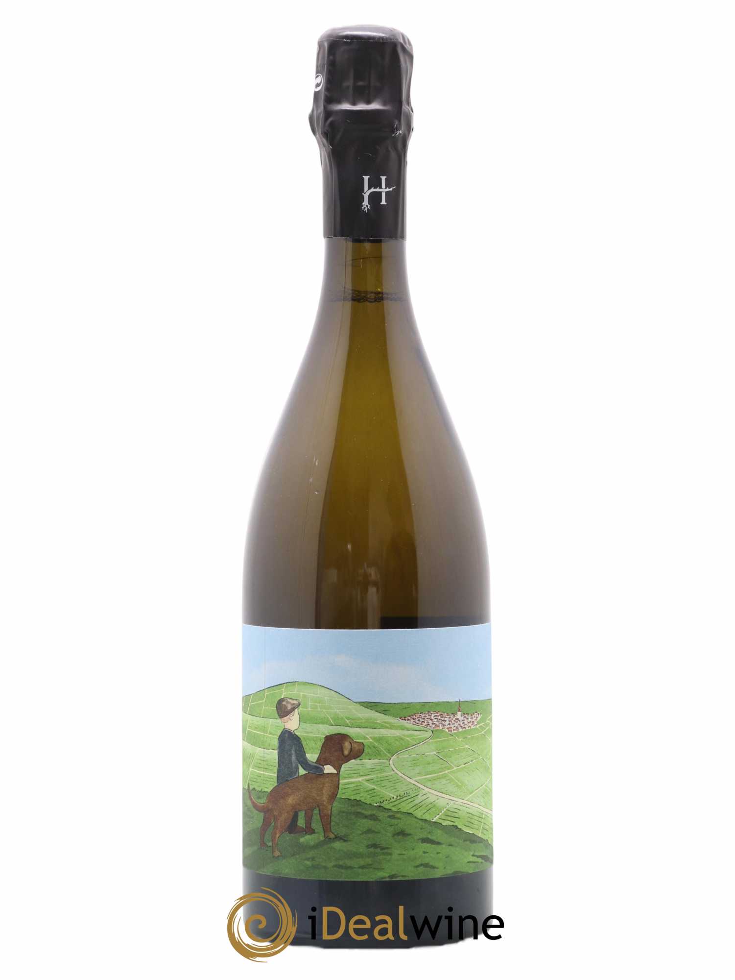 Gamin du Terroir Romain Henin 2019 - Lot de 1 bouteille - 0