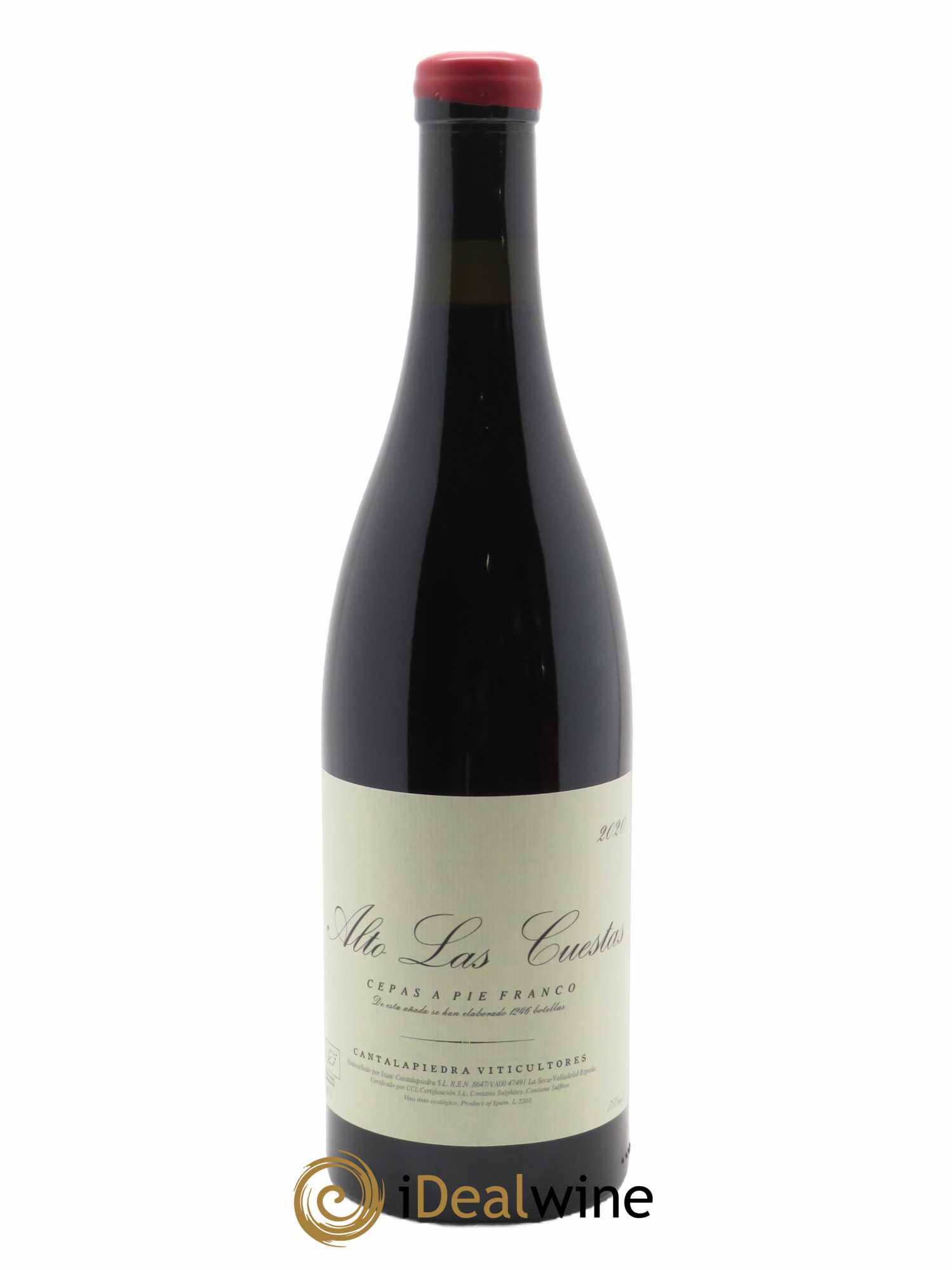 Vino de la Tierra de Castilla y León Alto Las Cuestas Cantalapiedra Viticultores 2020 - Lot of 1 bottle - 0