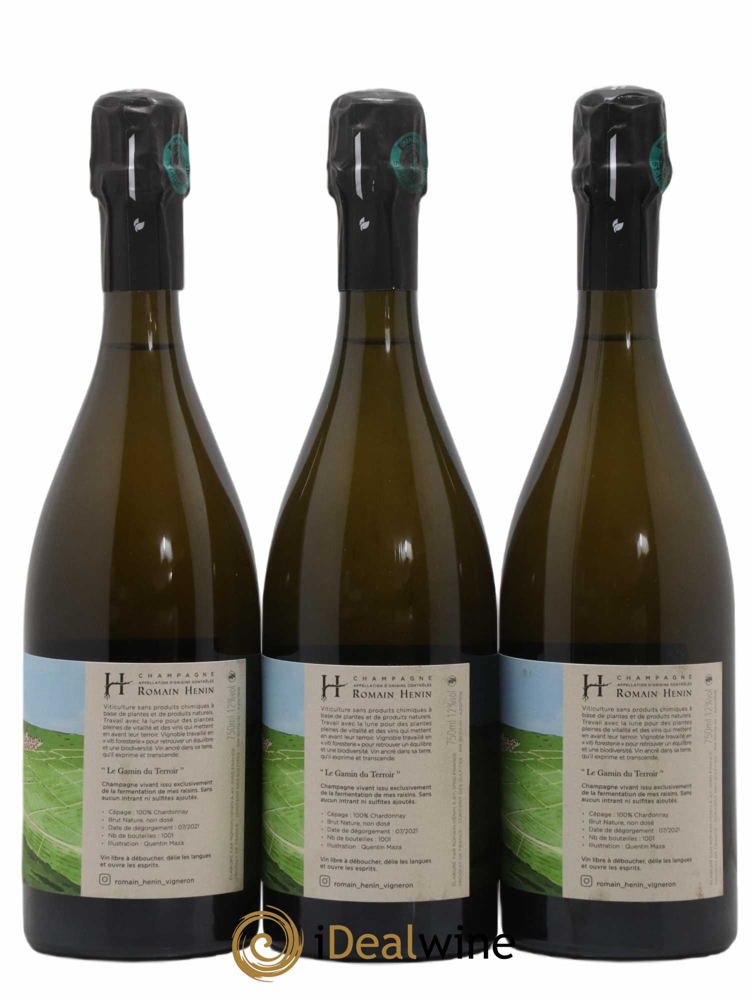 Gamin du Terroir Romain Henin - Lot of 3 bottles - 1
