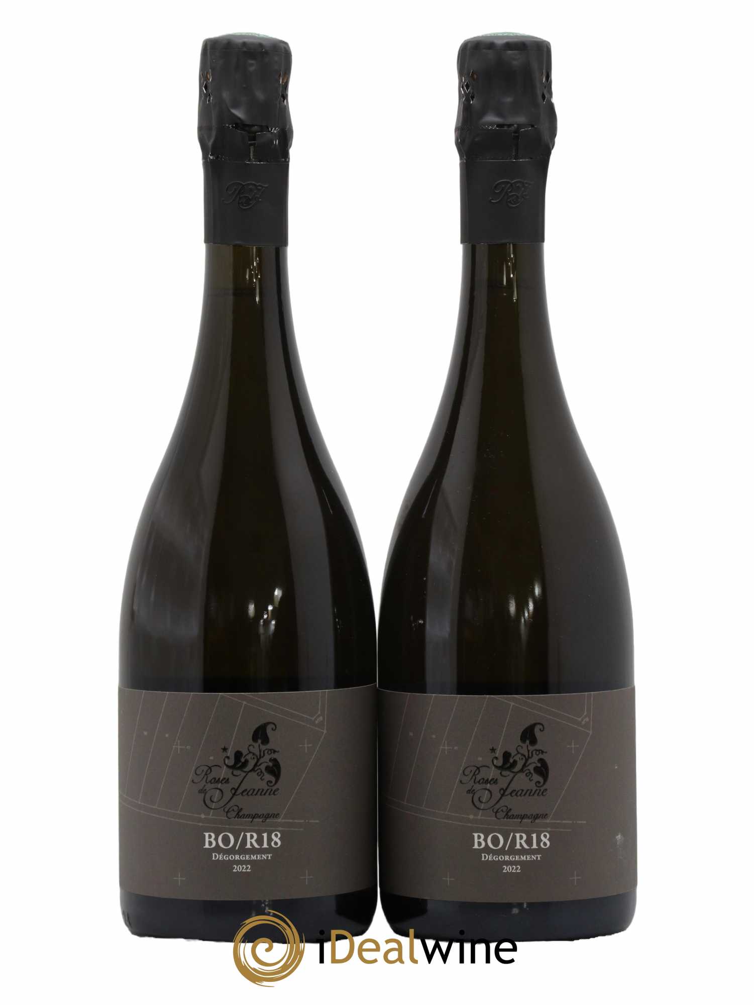 Roses de Jeanne La Bolorée Cédric Bouchard 2018 - Lot de 2 bouteilles - 0