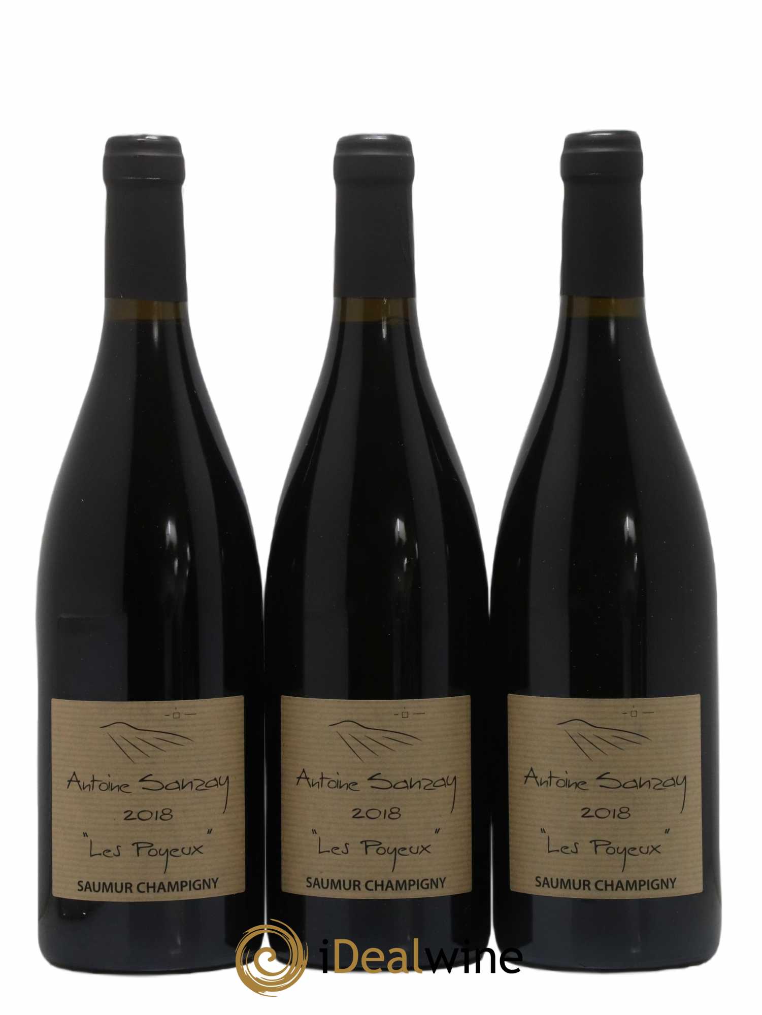 Saumur-Champigny Les Poyeux Antoine Sanzay  2018 - Lot de 6 bouteilles - 1
