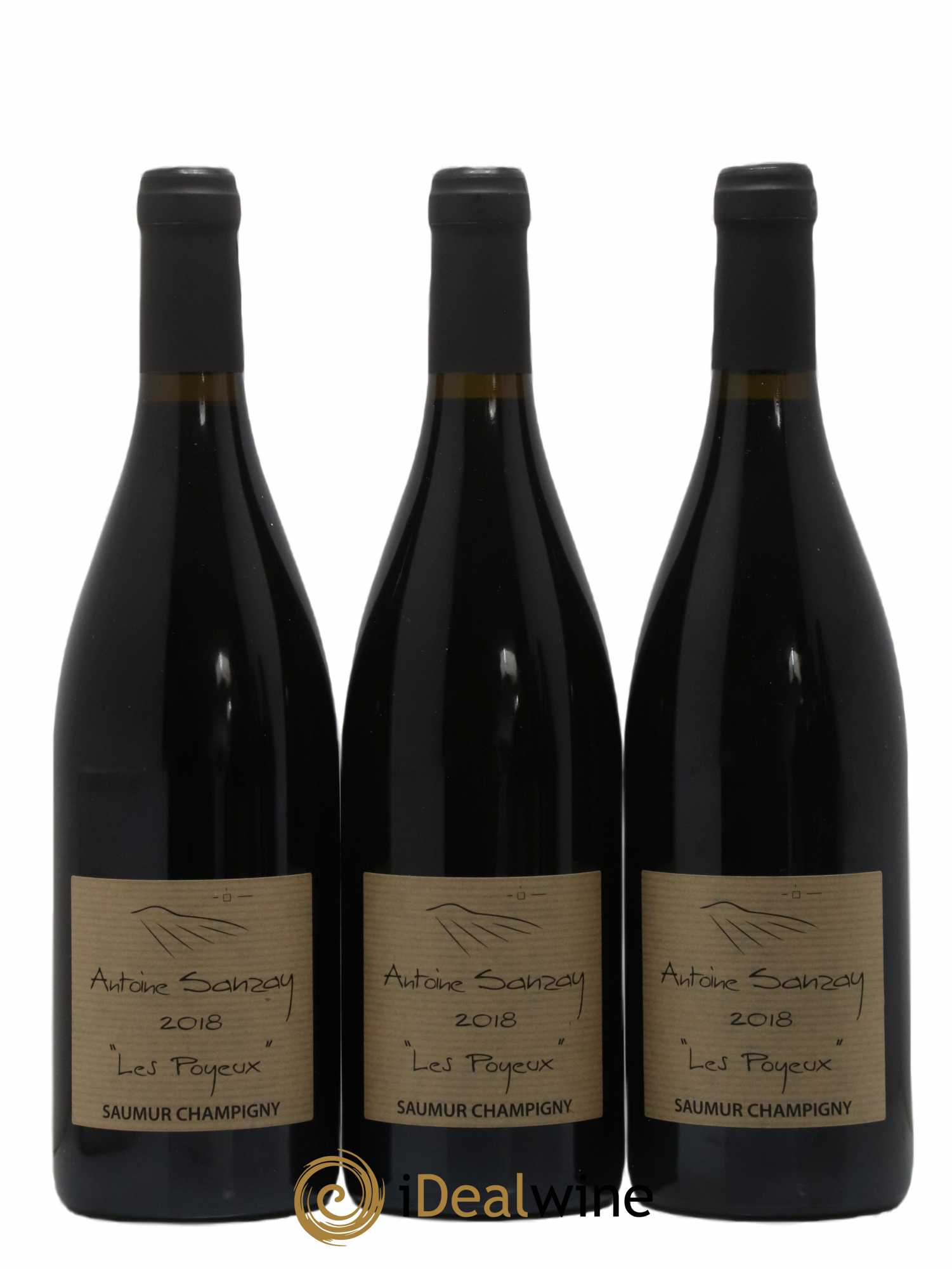 Saumur-Champigny Les Poyeux Antoine Sanzay  2018 - Lot de 6 bouteilles - 2