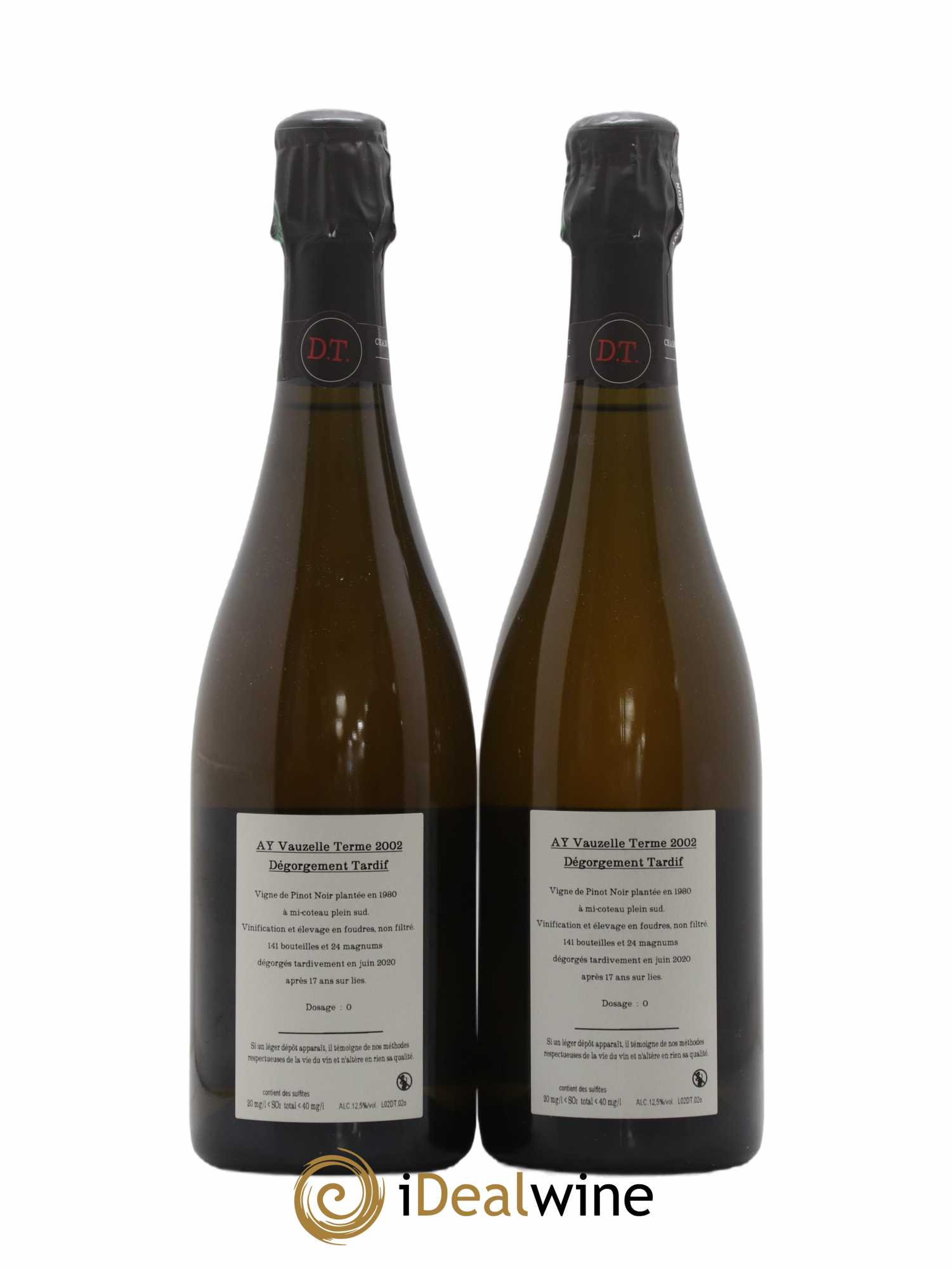 Champagne 2002 - Posten von 2 Flaschen - 1