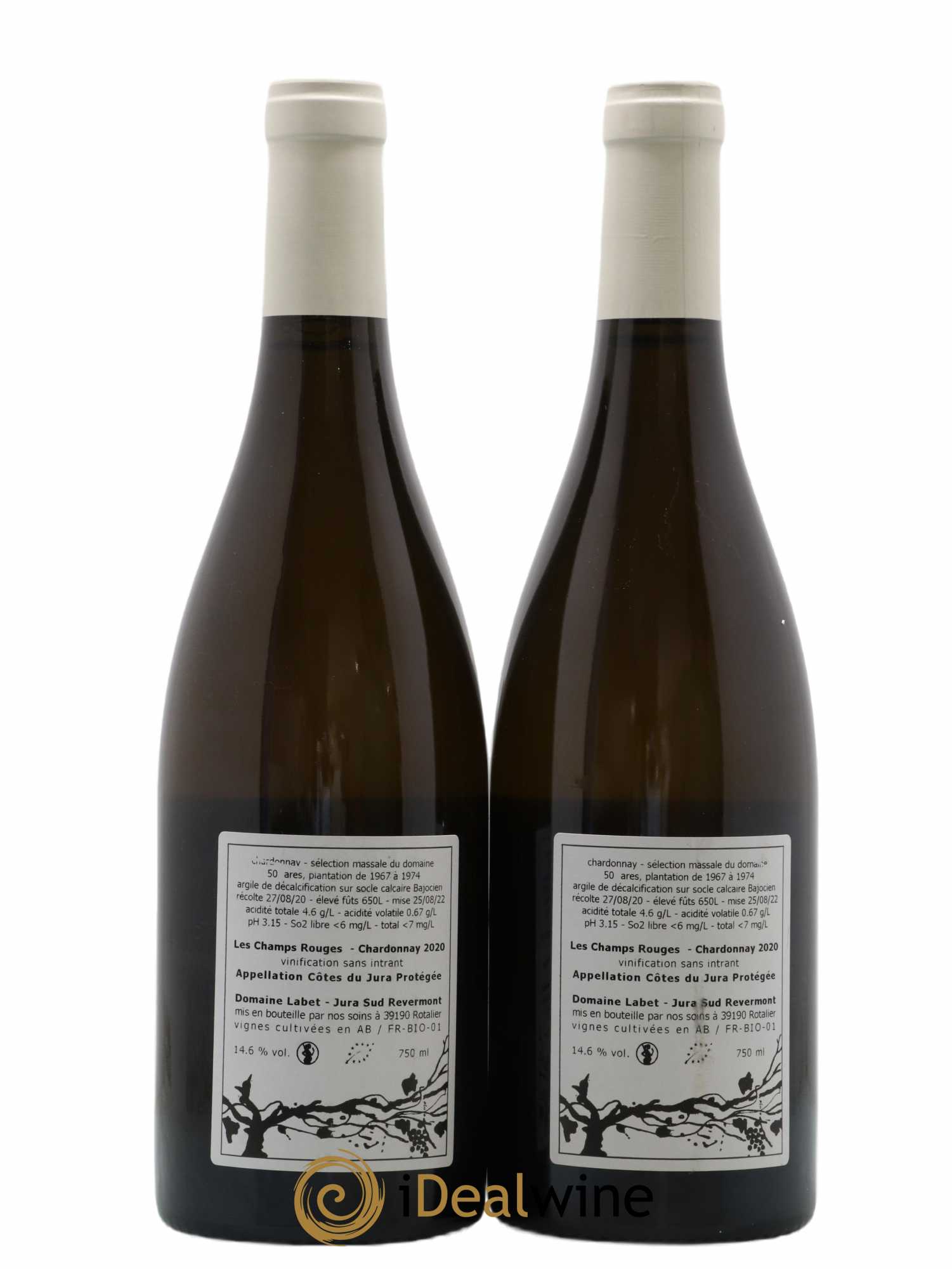 Côtes du Jura Chardonnay Les Champs Rouges Romain - Julien - Charline Labet 2020 - Lot de 2 bouteilles - 1