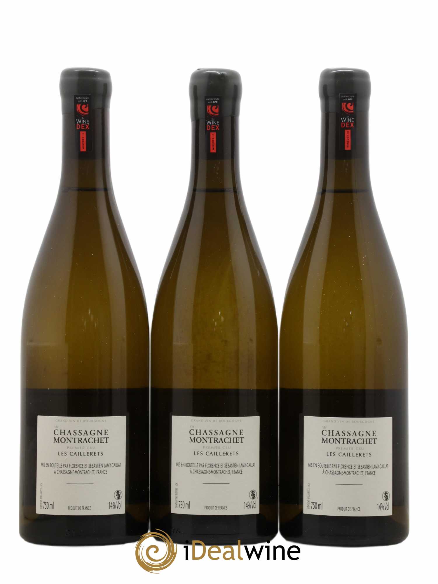 Chassagne-Montrachet 1er Cru Les Caillerets Lamy-Caillat (Domaine) 2019 - Lot de 3 bouteilles - 1