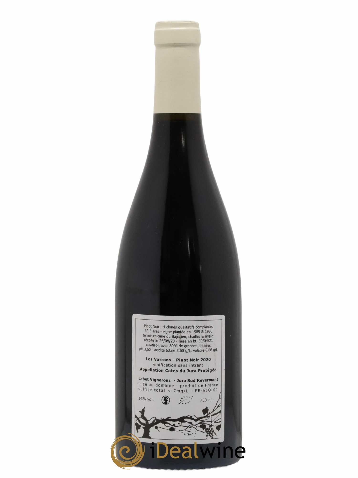 Côtes du Jura Pinot Noir Les Varrons Sélection Massale Romain - Julien - Charline Labet 2020 - Lot de 1 bouteille - 1