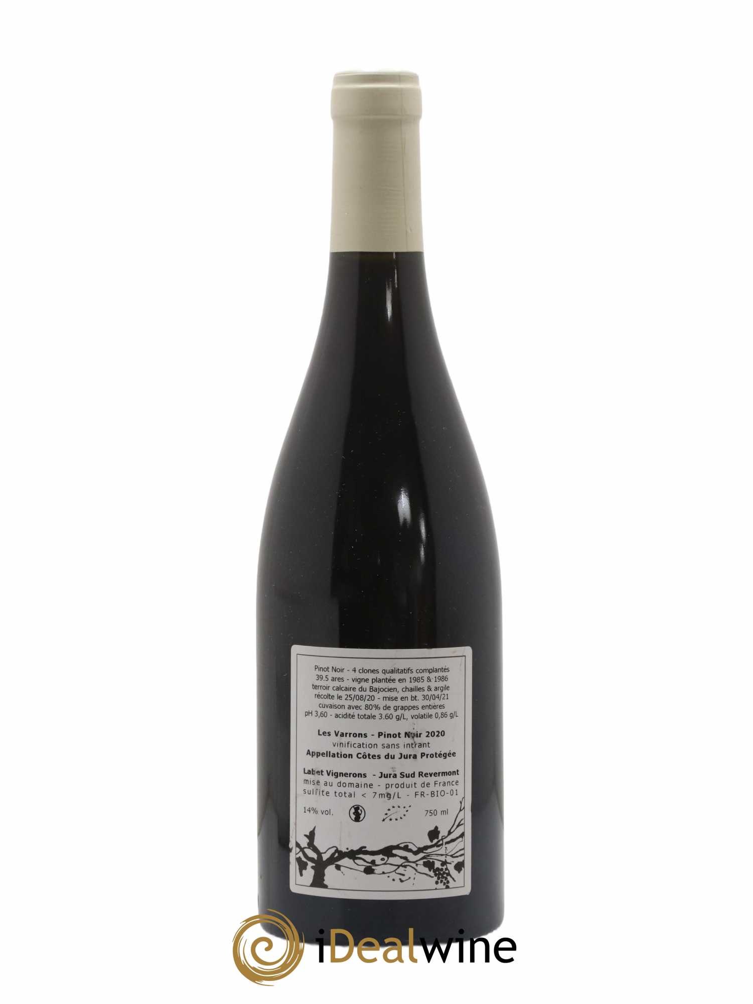 Côtes du Jura Pinot Noir Les Varrons Sélection Massale Romain - Julien - Charline Labet 2020 - Lot de 1 bouteille - 1
