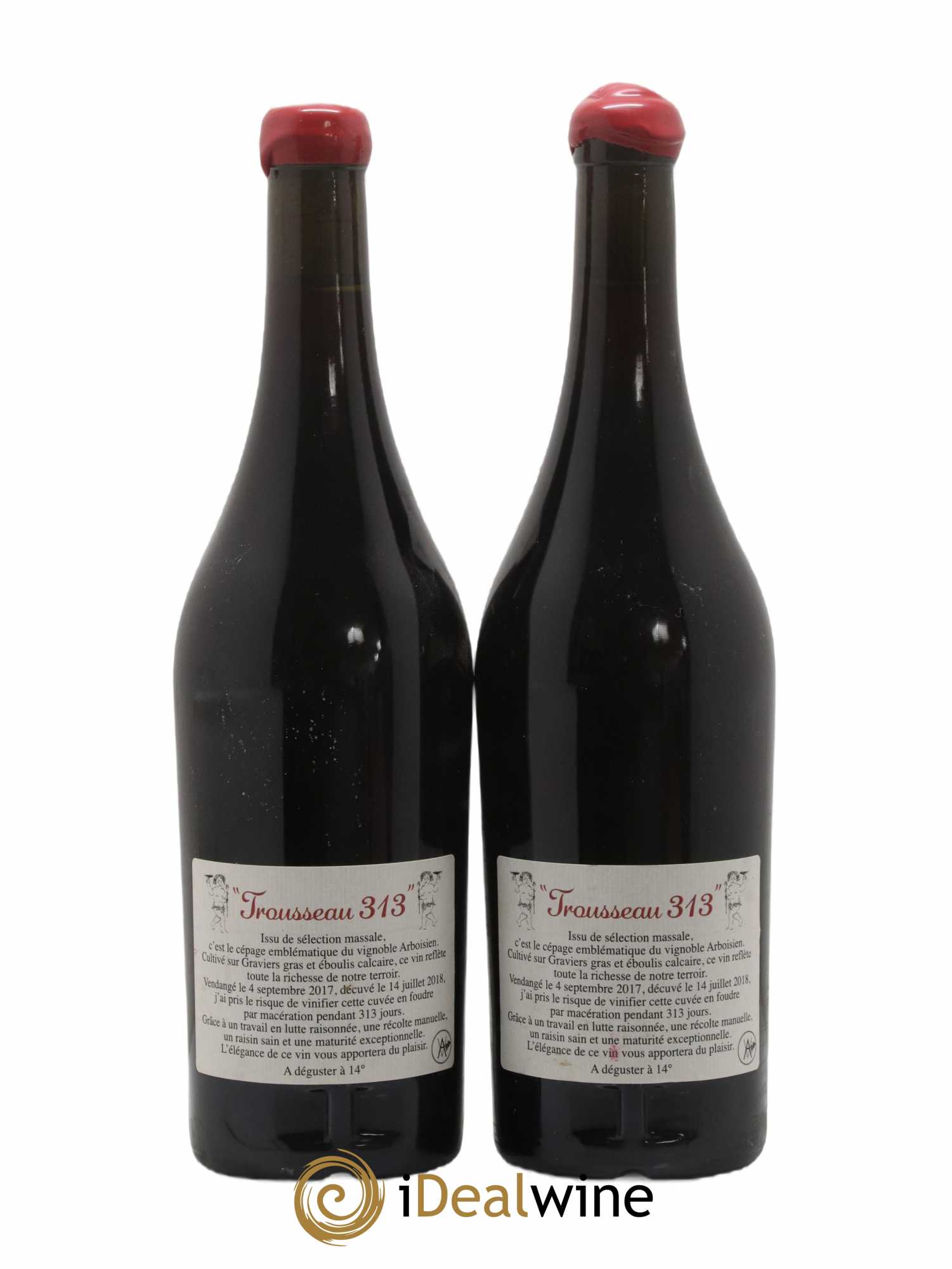 Arbois Cuvée des Géologues Trousseau 313 2017 - Lot de 2 bouteilles - 1