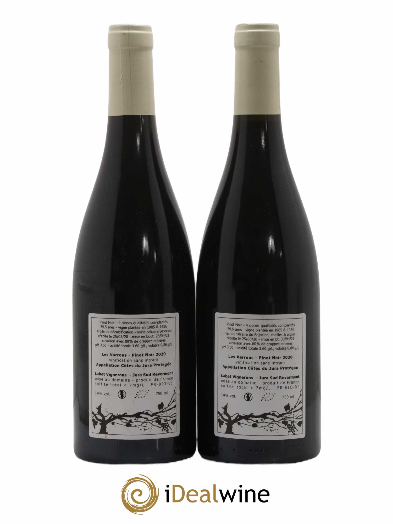 Côtes du Jura Pinot Noir Les Varrons Sélection Massale Romain - Julien - Charline Labet 2020 - Lot de 2 bouteilles - 1