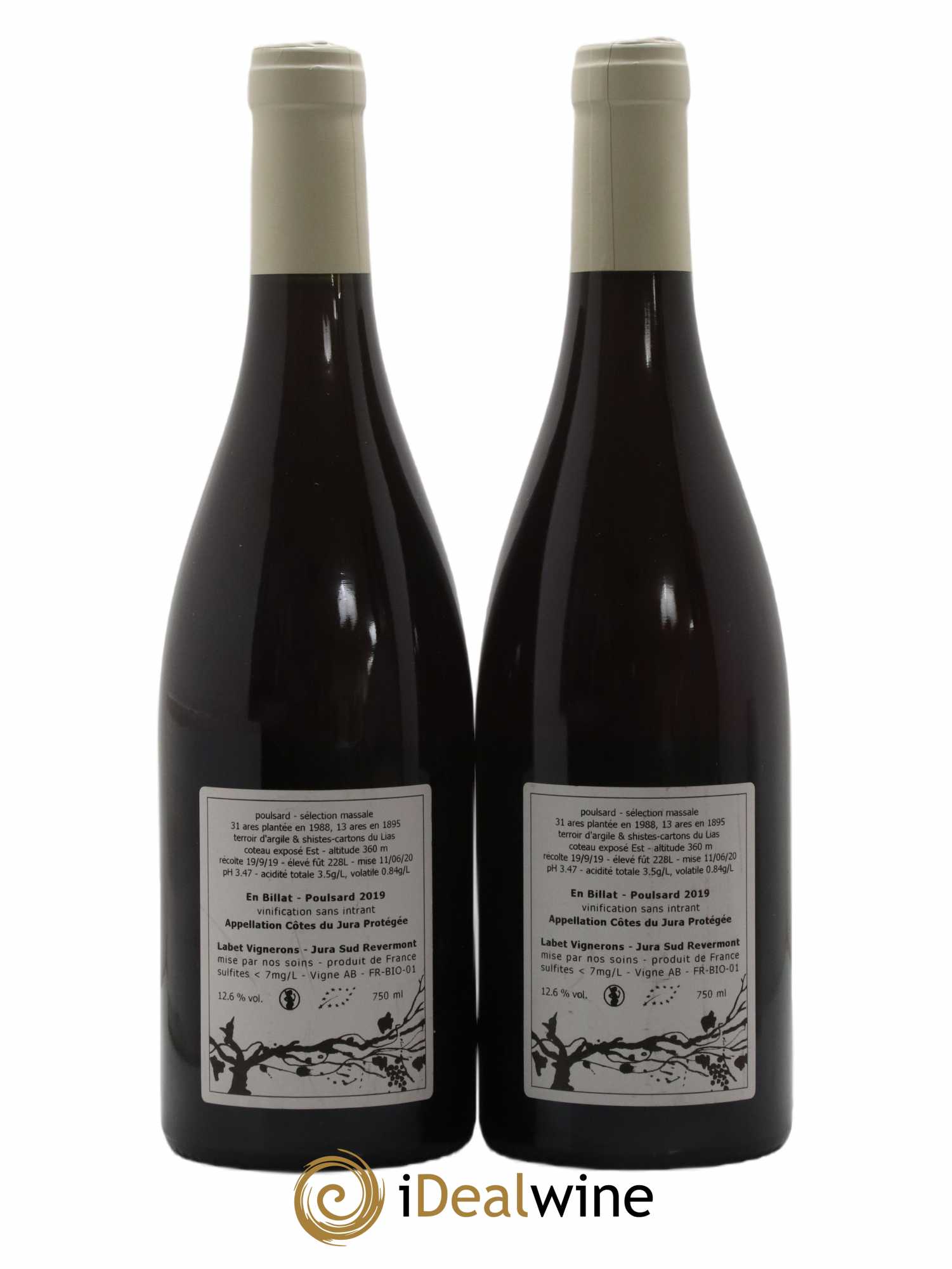 Côtes du Jura Poulsard En Billat Romain - Julien  - Charline Labet 2019 - Lot de 2 bouteilles - 1