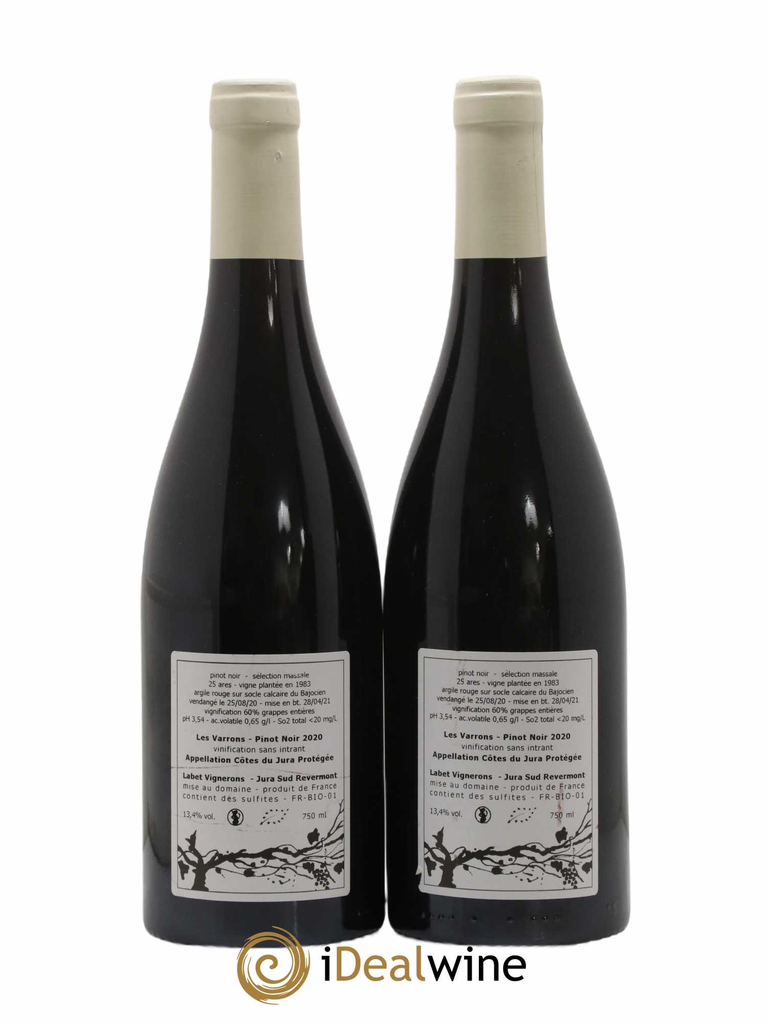 Côtes du Jura Pinot Noir Les Varrons Sélection Massale Romain - Julien - Charline Labet 2020 - Lot de 2 bouteilles - 1