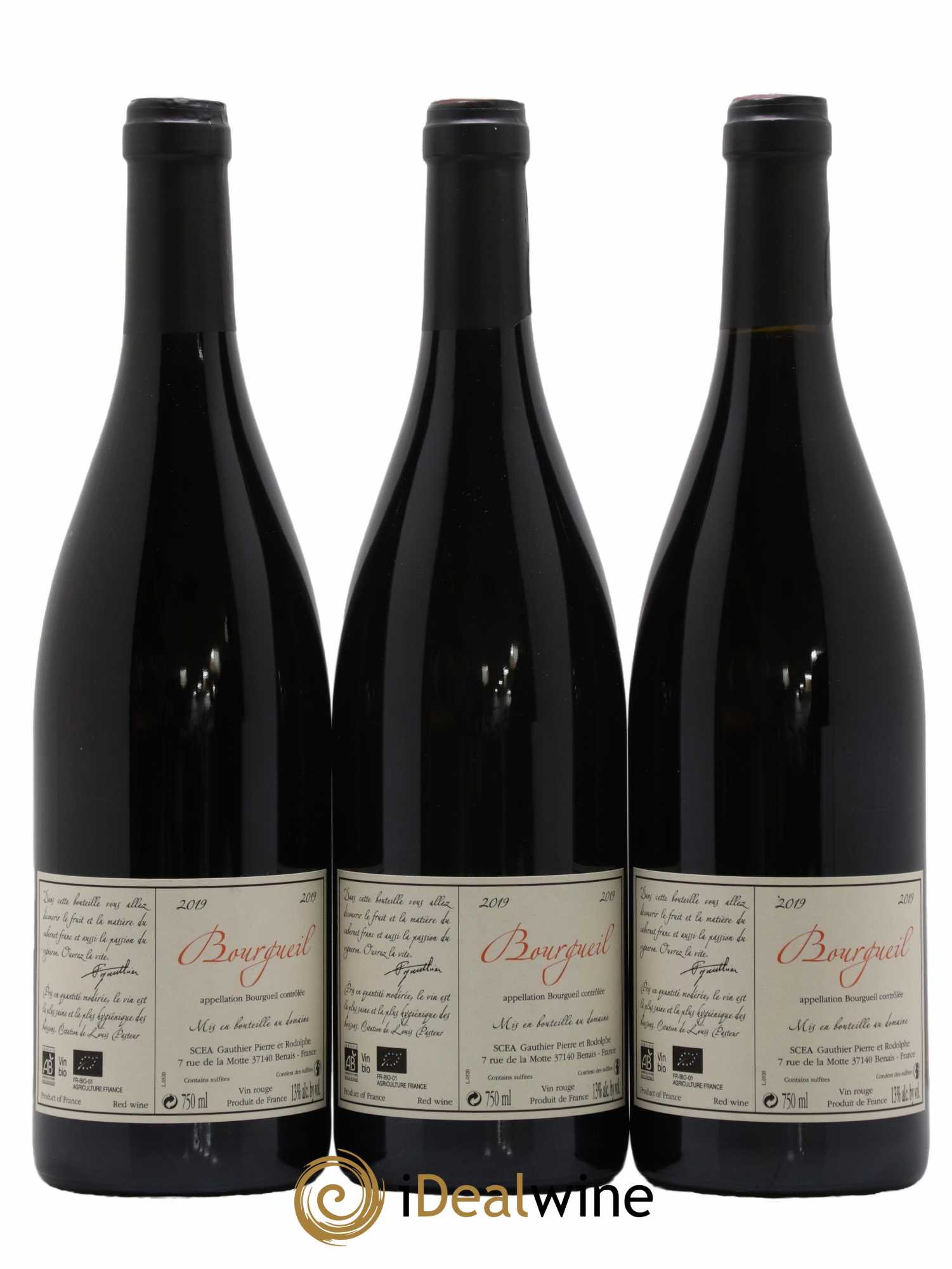 Bourgueil Jour de Soif Domaine du Bel Air 2019 - Lot de 3 bouteilles - 1