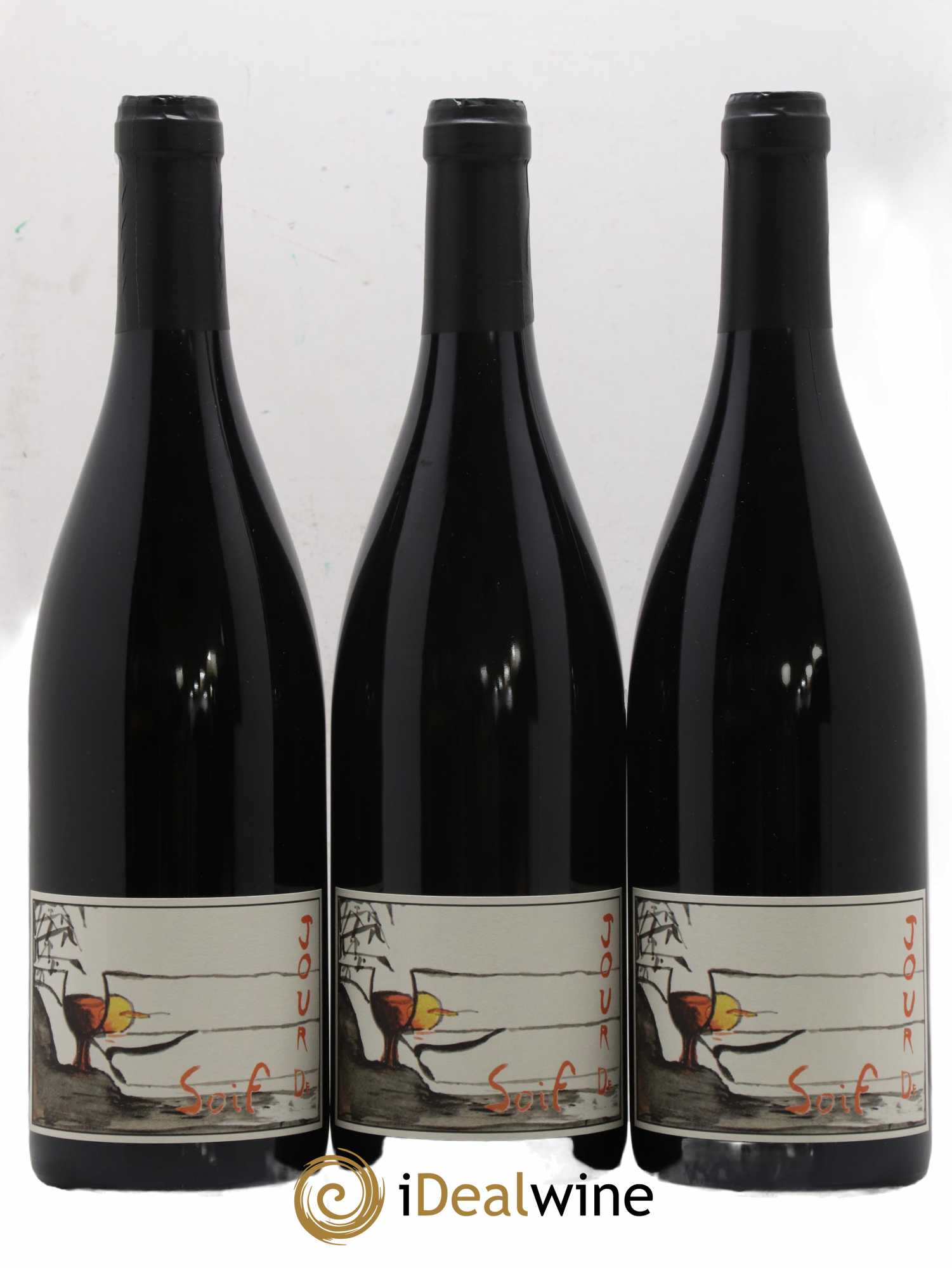 Bourgueil Jour de Soif Domaine du Bel Air 2021 - Lot de 3 bouteilles - 0