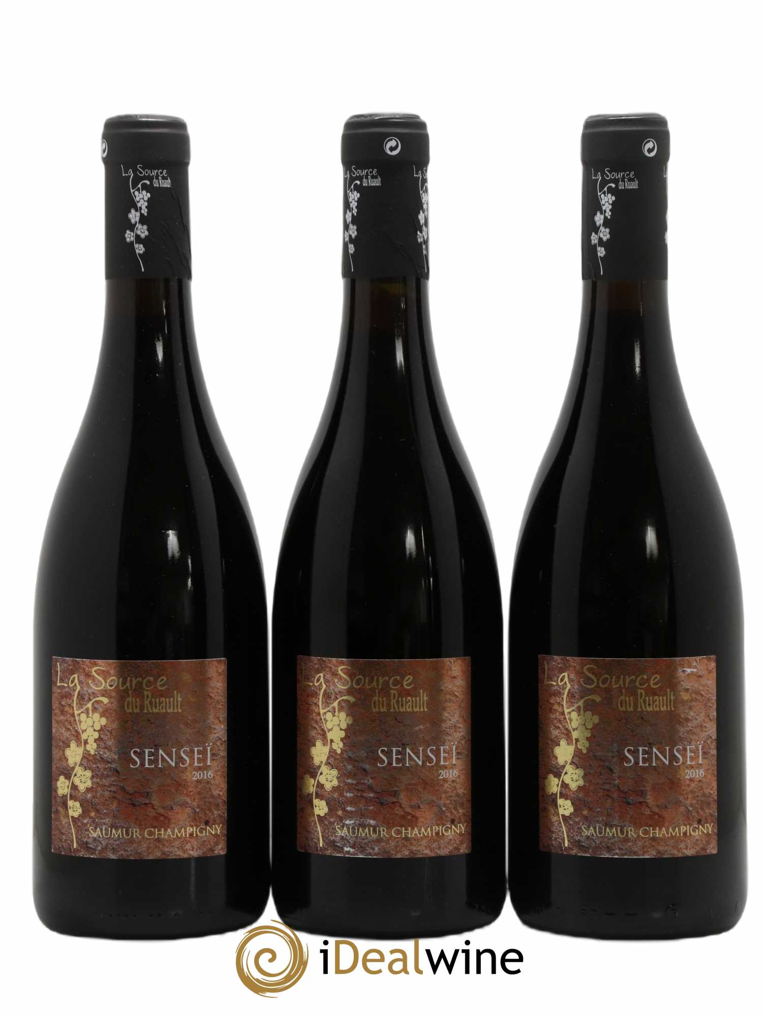Saumur-Champigny Senseï La Source Du Ruault (sans prix de réserve) 2016 - Lot de 6 bouteilles - 1