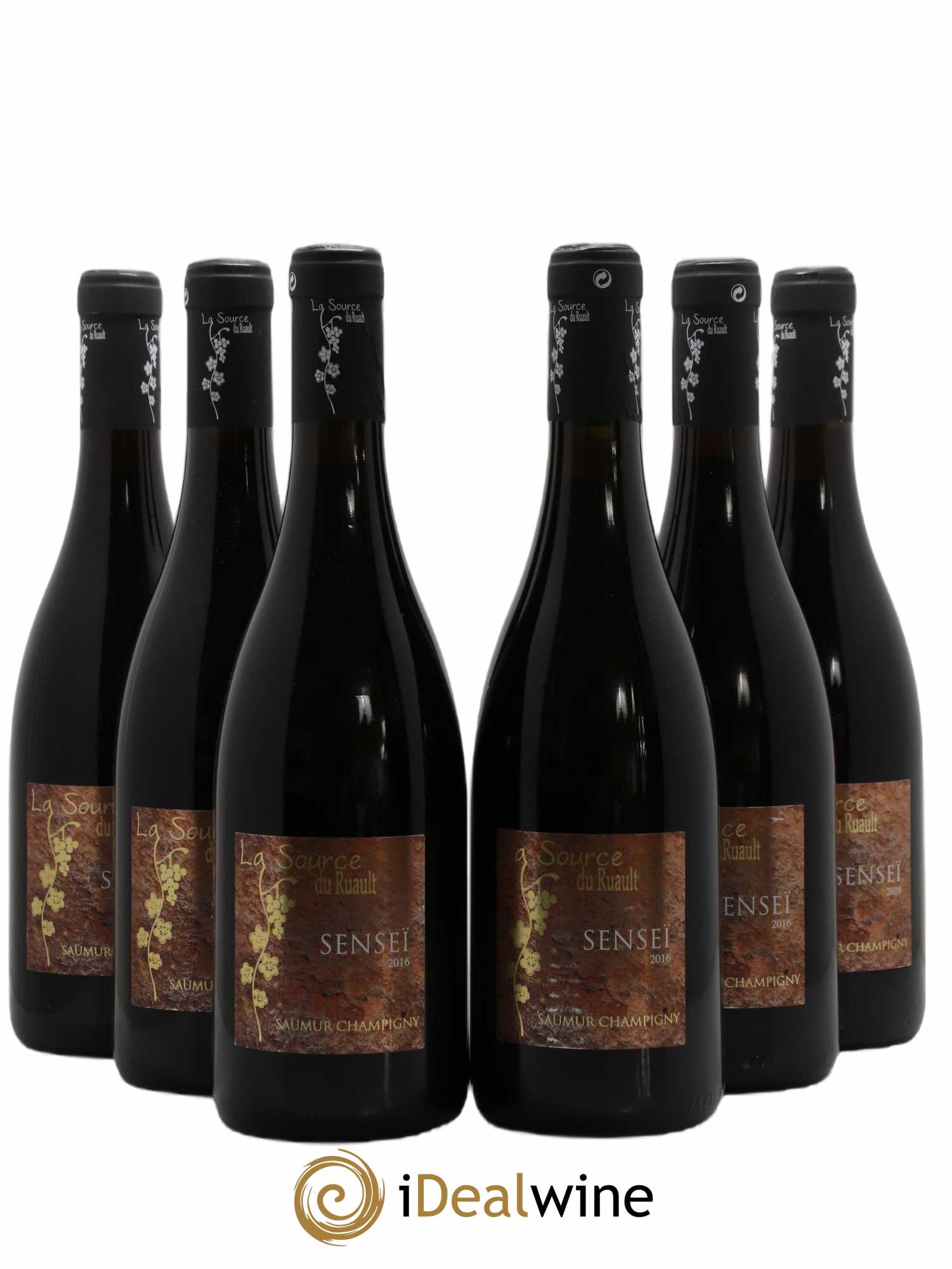 Saumur-Champigny Senseï La Source Du Ruault (sans prix de réserve) 2016 - Lot de 6 bouteilles - 0