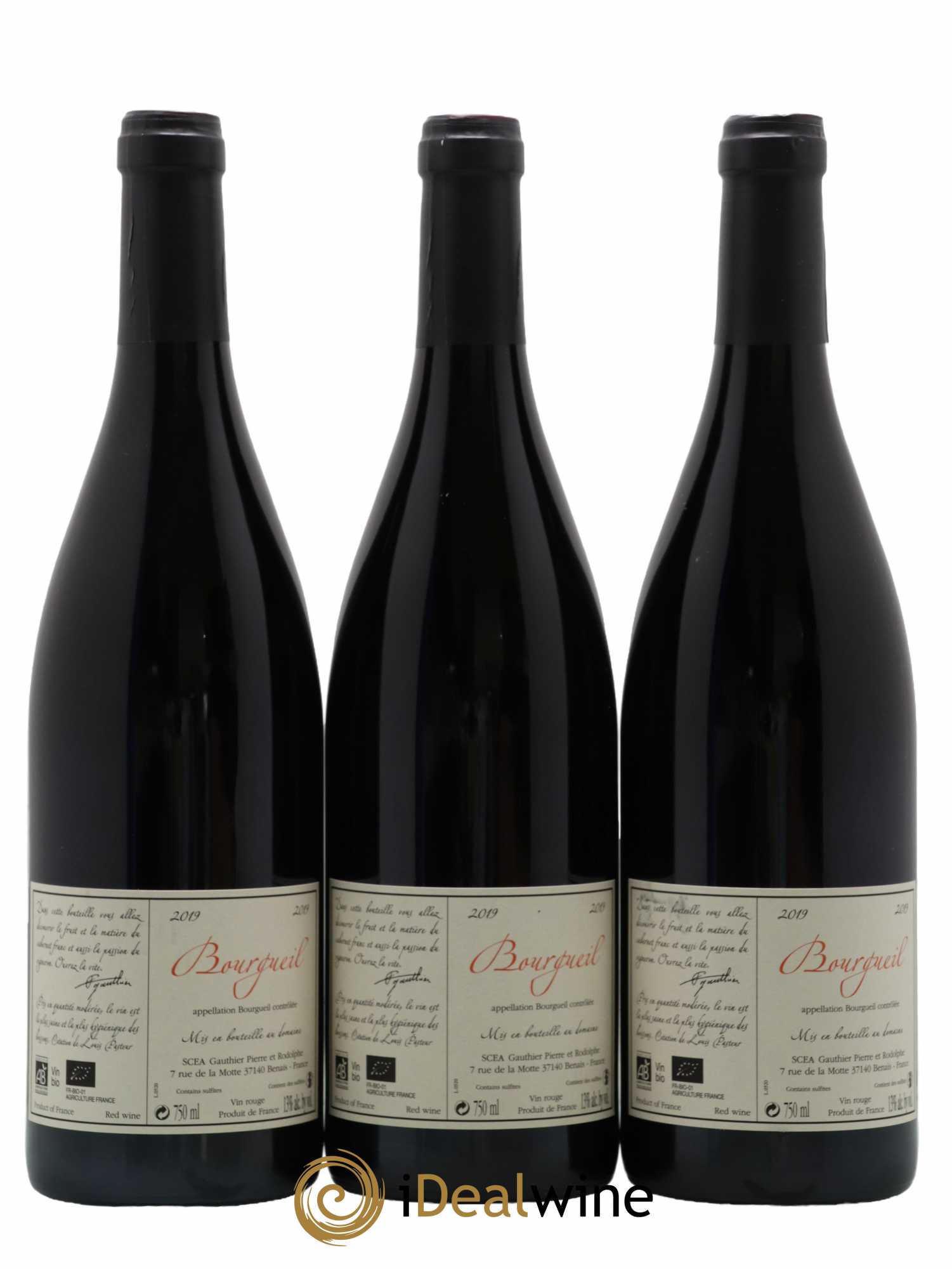 Bourgueil Jour de Soif Domaine du Bel Air 2019 - Lot de 3 bouteilles - 1