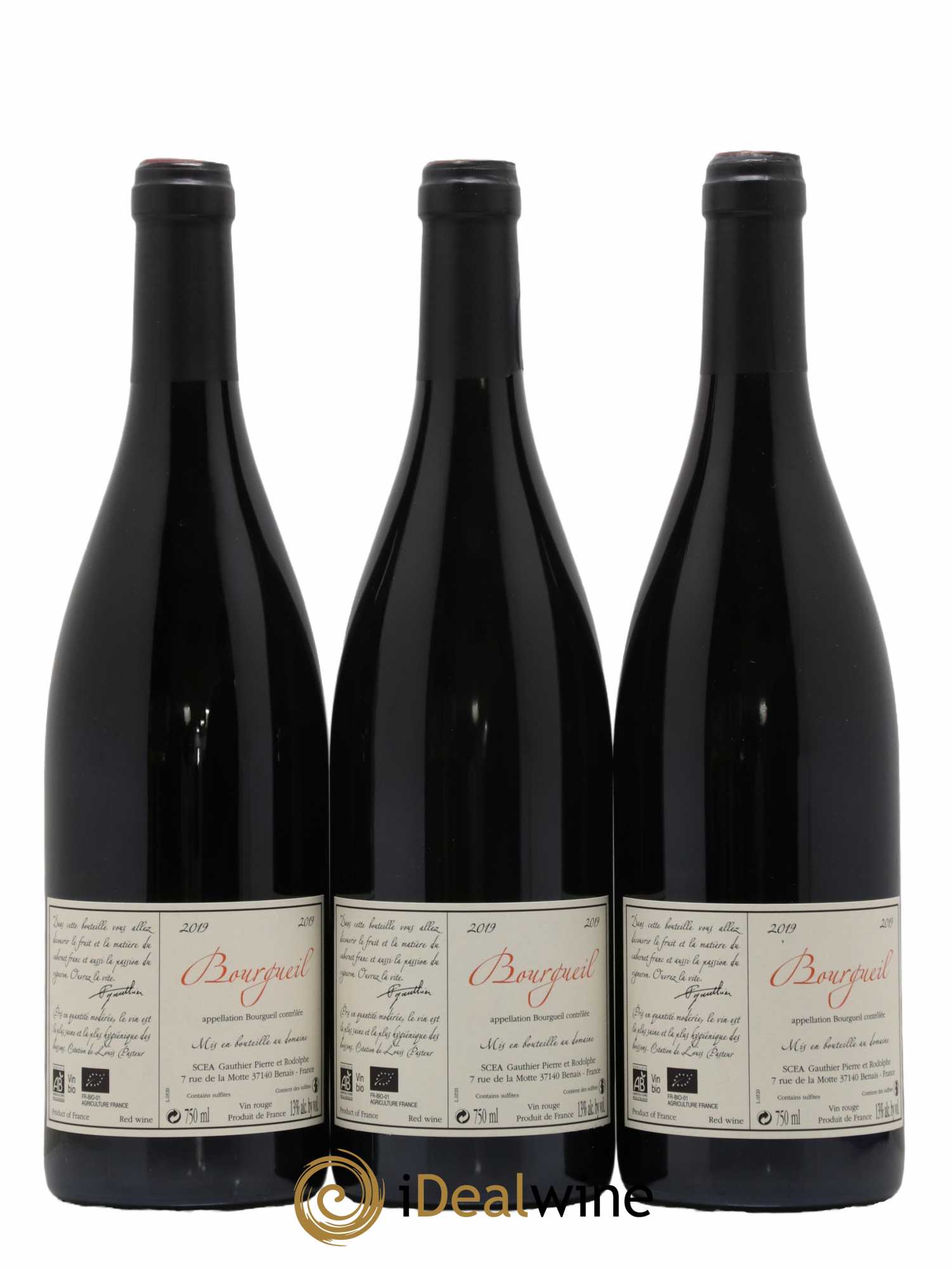 Bourgueil Jour de Soif Domaine du Bel Air 2019 - Lotto di 3 bottiglie - 1