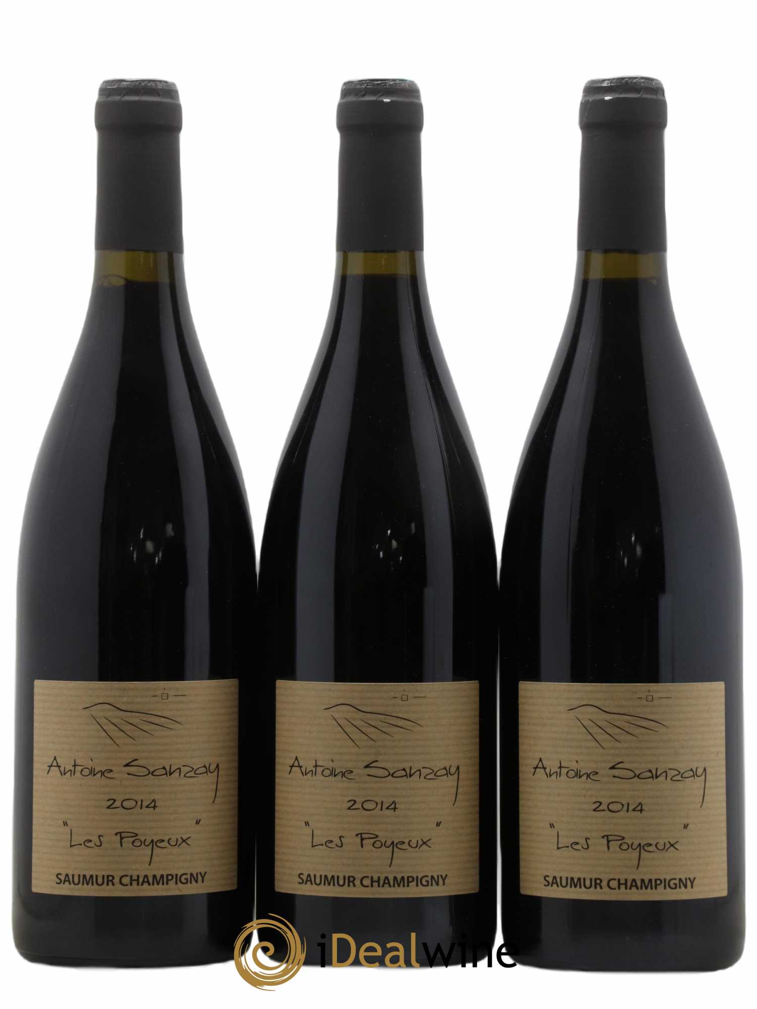 Saumur-Champigny Les Poyeux Antoine Sanzay 2014 - Lot of 3 bottles - 0