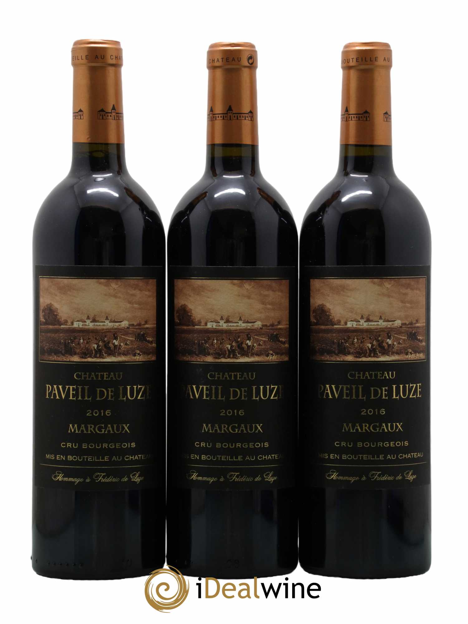 Château Paveil de Luze Cru Bourgeois 2016 - Lot de 6 bouteilles - 1