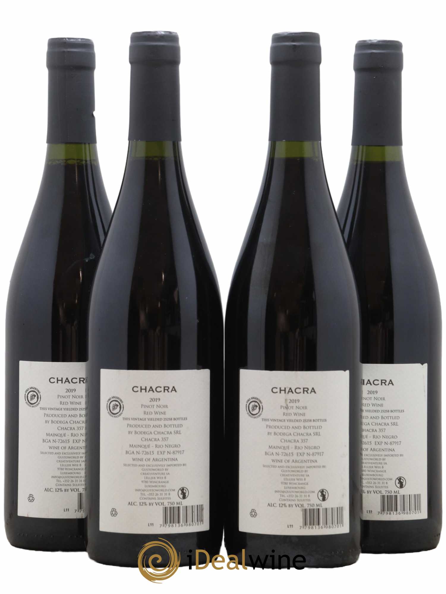 Patagonie Bodega Chacra Cincuenta y cinco 2019 - Lotto di 4 bottiglie - 1