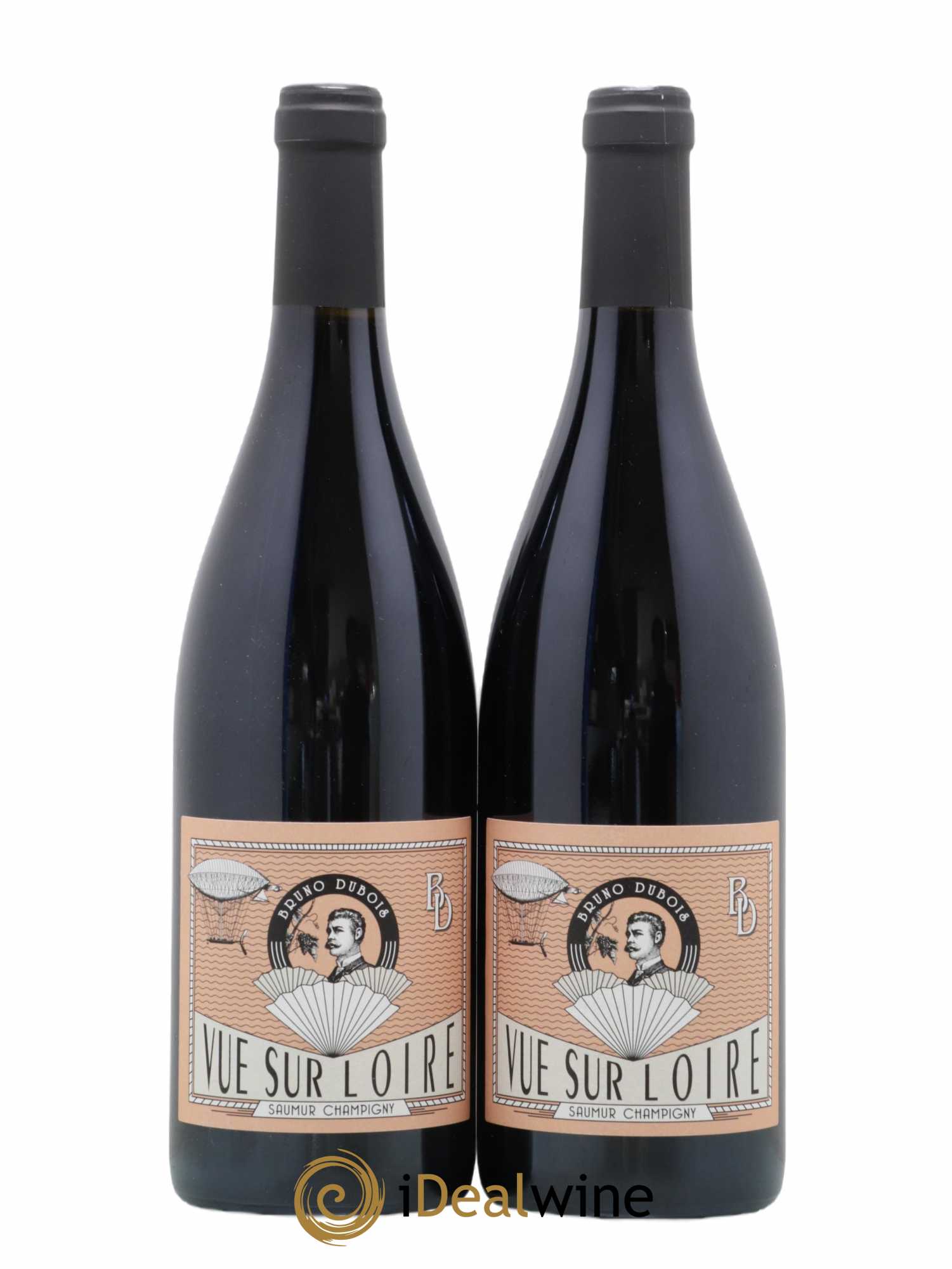 Saumur-Champigny Vue sur Loire Bruno Dubois 2018 - Lot de 2 bouteilles - 0