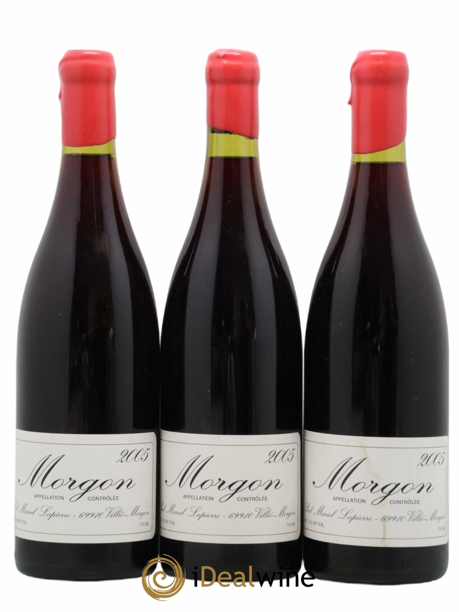 Morgon Marcel Lapierre (Domaine) 2005 - Lot de 3 bouteilles - 0