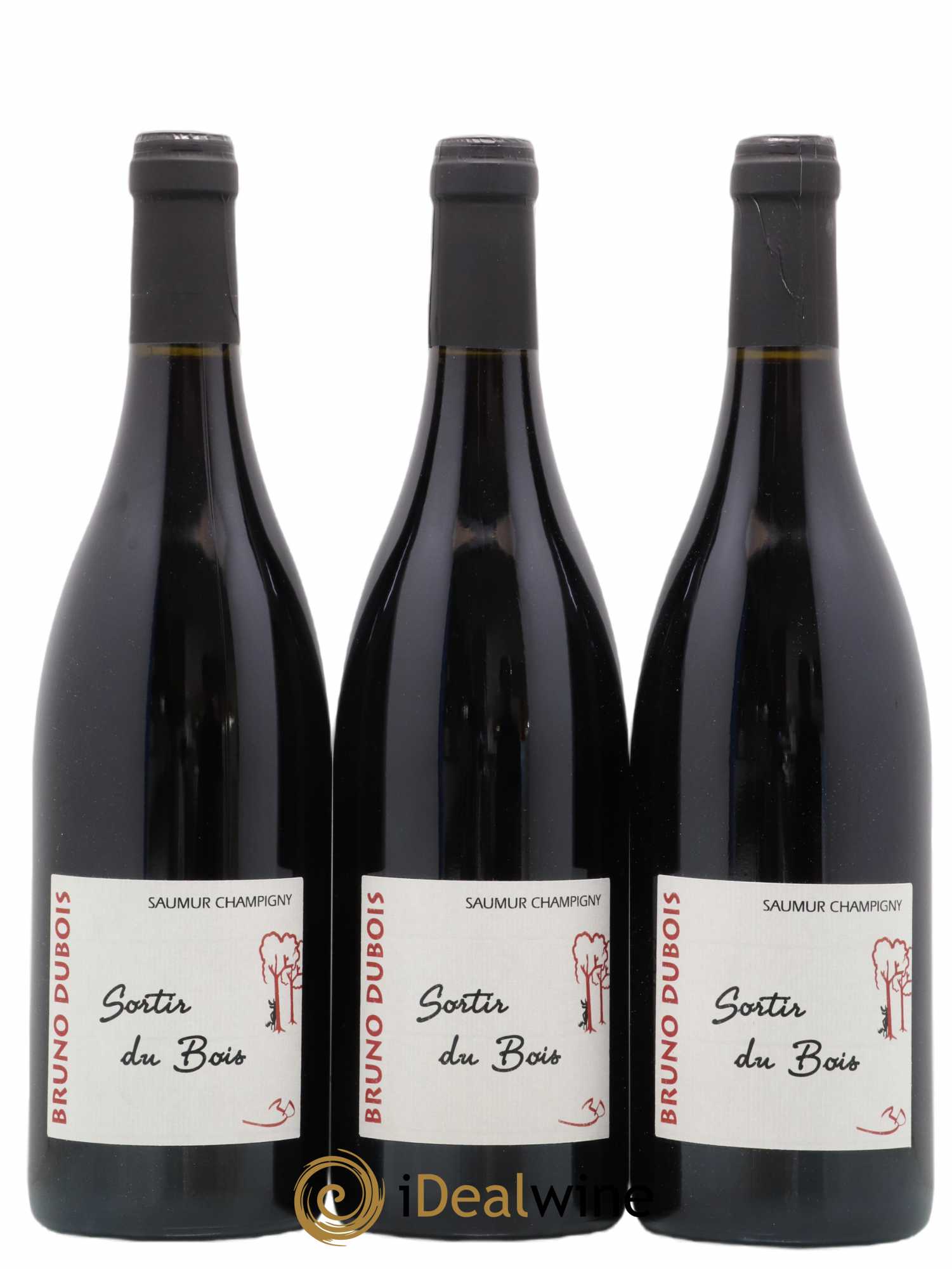 Saumur-Champigny Sortir du Bois Bruno Dubois 2011 - Lot de 3 bouteilles - 0