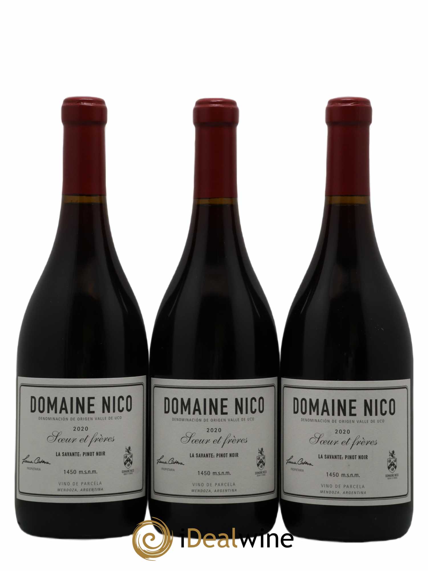 Mendoza 2020 - Posten von 6 Flaschen - 2