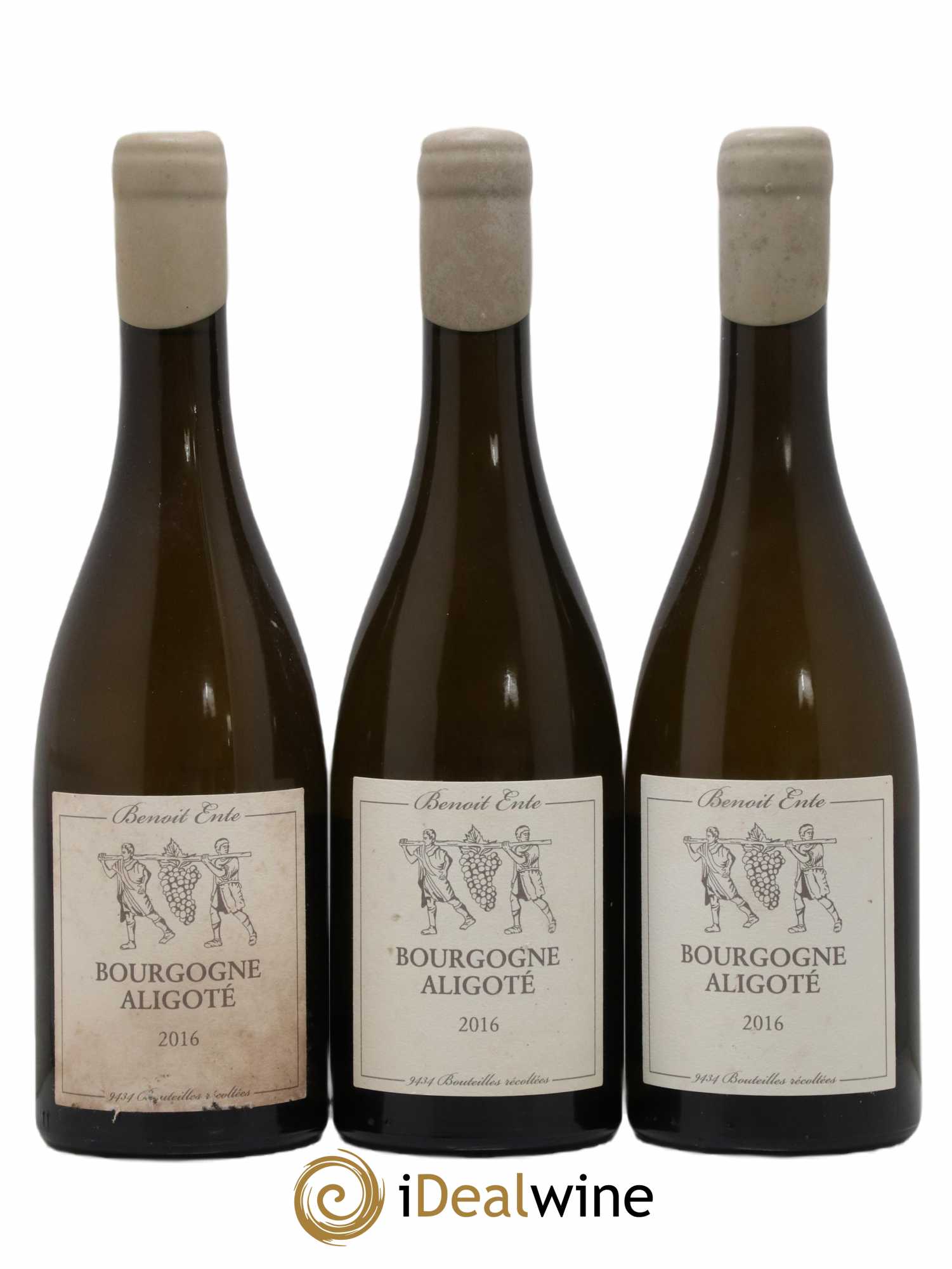 Bourgogne Aligoté Benoit Ente 2016 - Lot de 3 bouteilles - 0