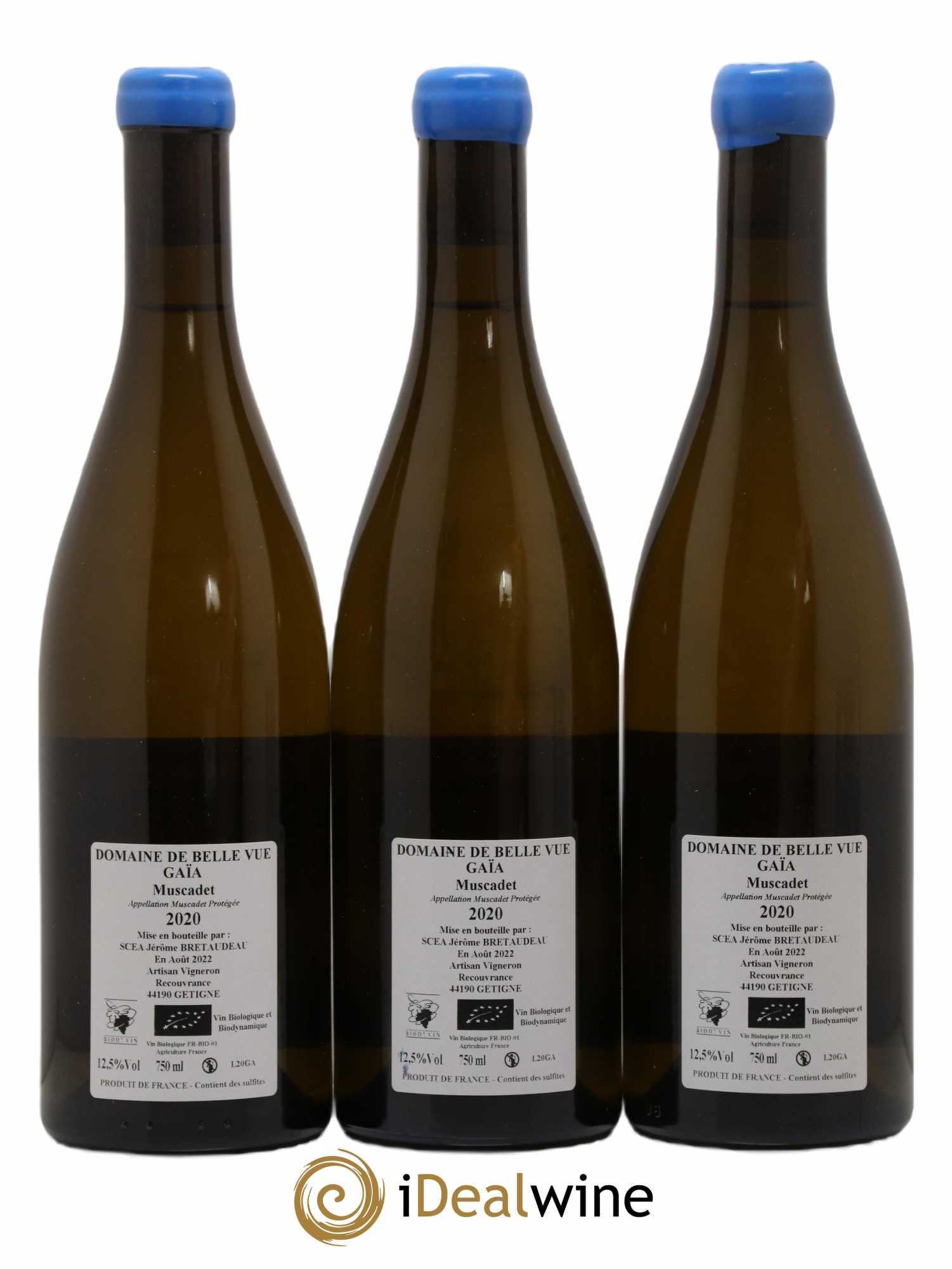 Muscadet-Sèvre-et-Maine Gaia Jérôme Bretaudeau - Domaine de Bellevue 2020 - Lot de 3 bouteilles - 1