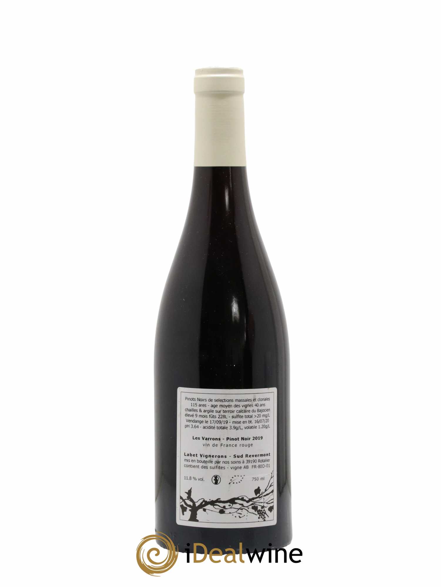 Côtes du Jura Pinot Noir Les Varrons Sélection Massale Romain - Julien - Charline Labet 2019 - Lot de 1 bouteille - 1