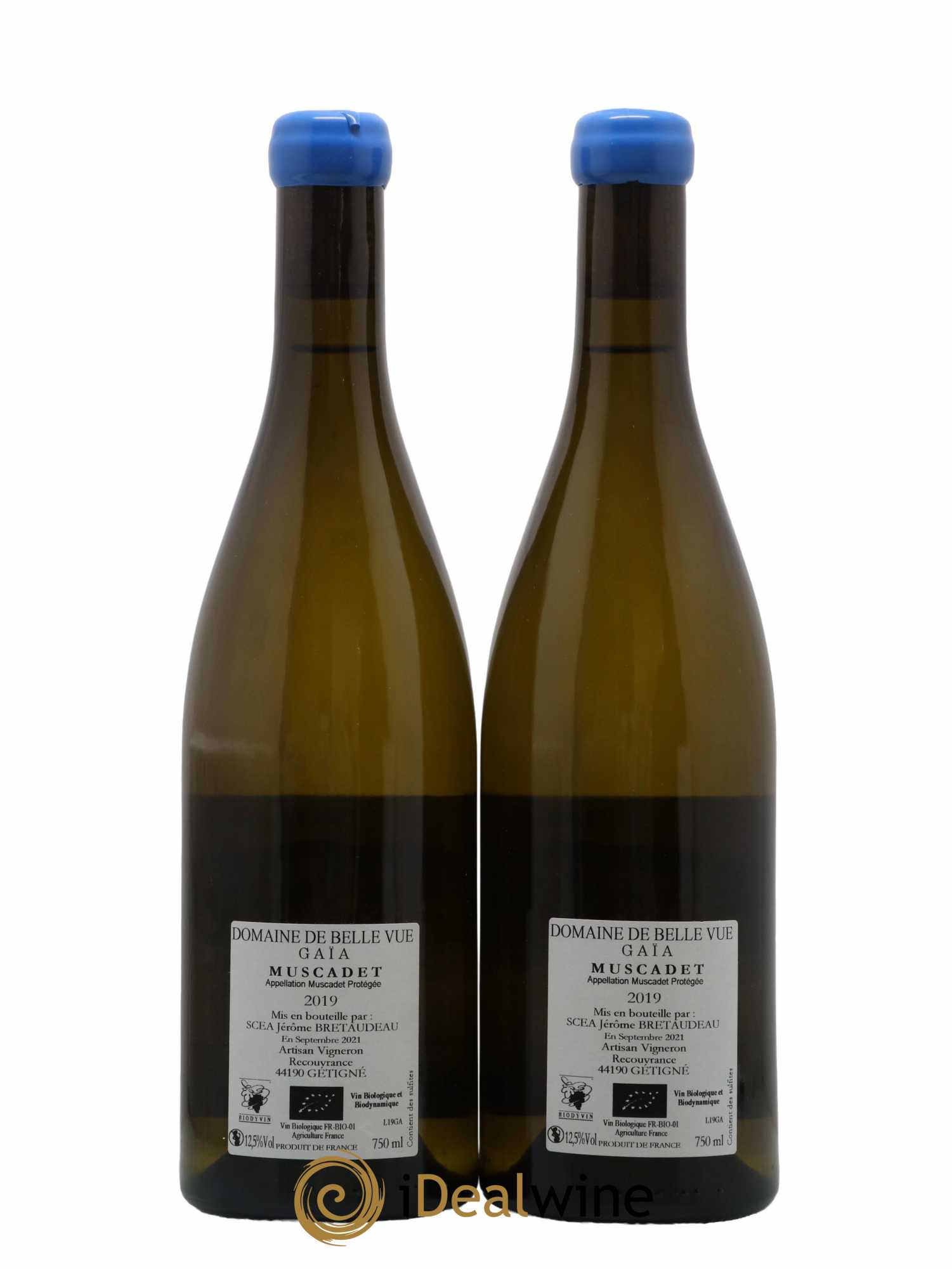 Muscadet-Sèvre-et-Maine Gaia Jérôme Bretaudeau - Domaine de Bellevue 2019 - Lot de 2 bouteilles - 1