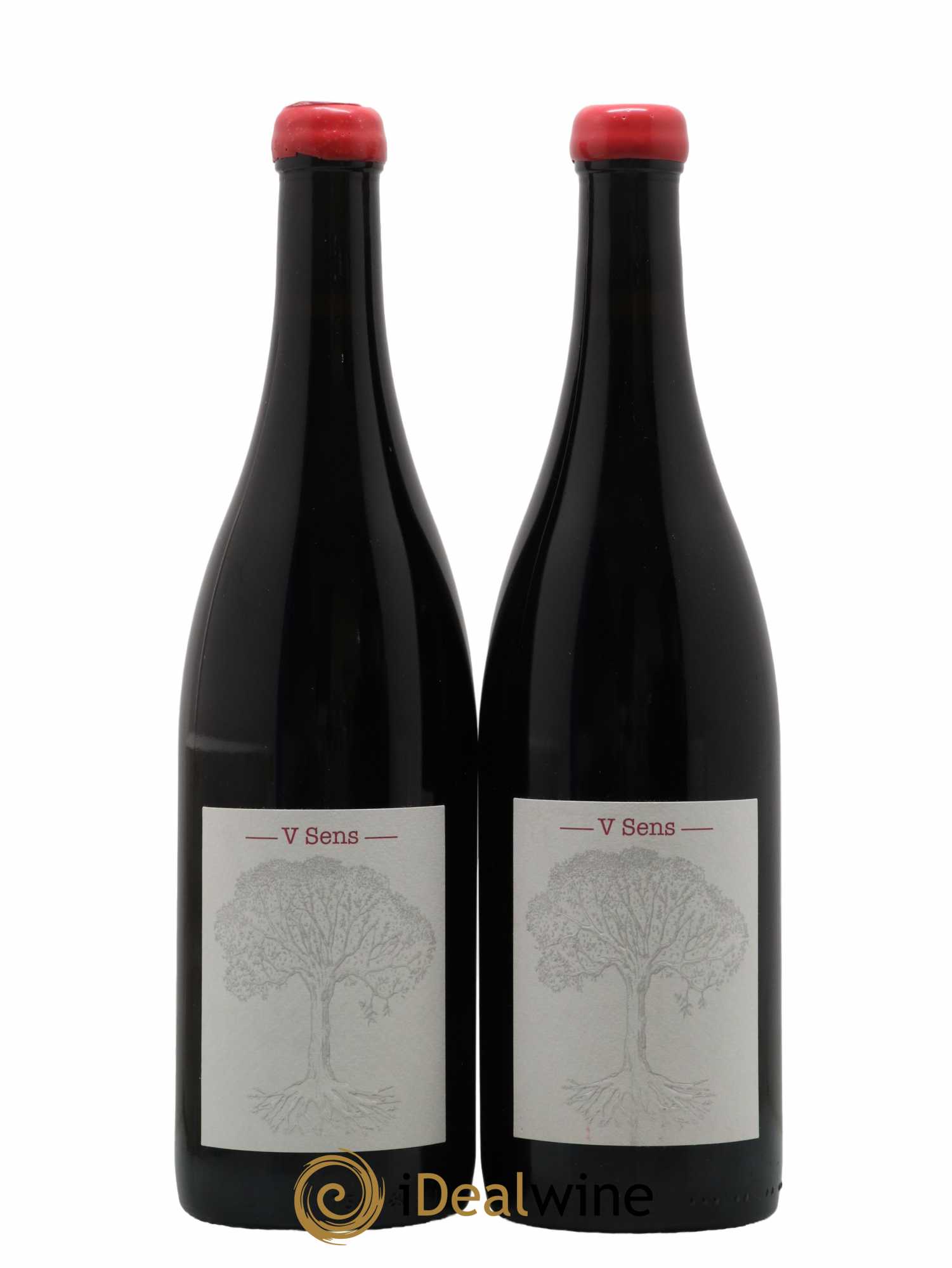 Vin de France V Sens Jérôme Bretaudeau - Domaine de Bellevue 2019 - Lot de 2 bouteilles - 0