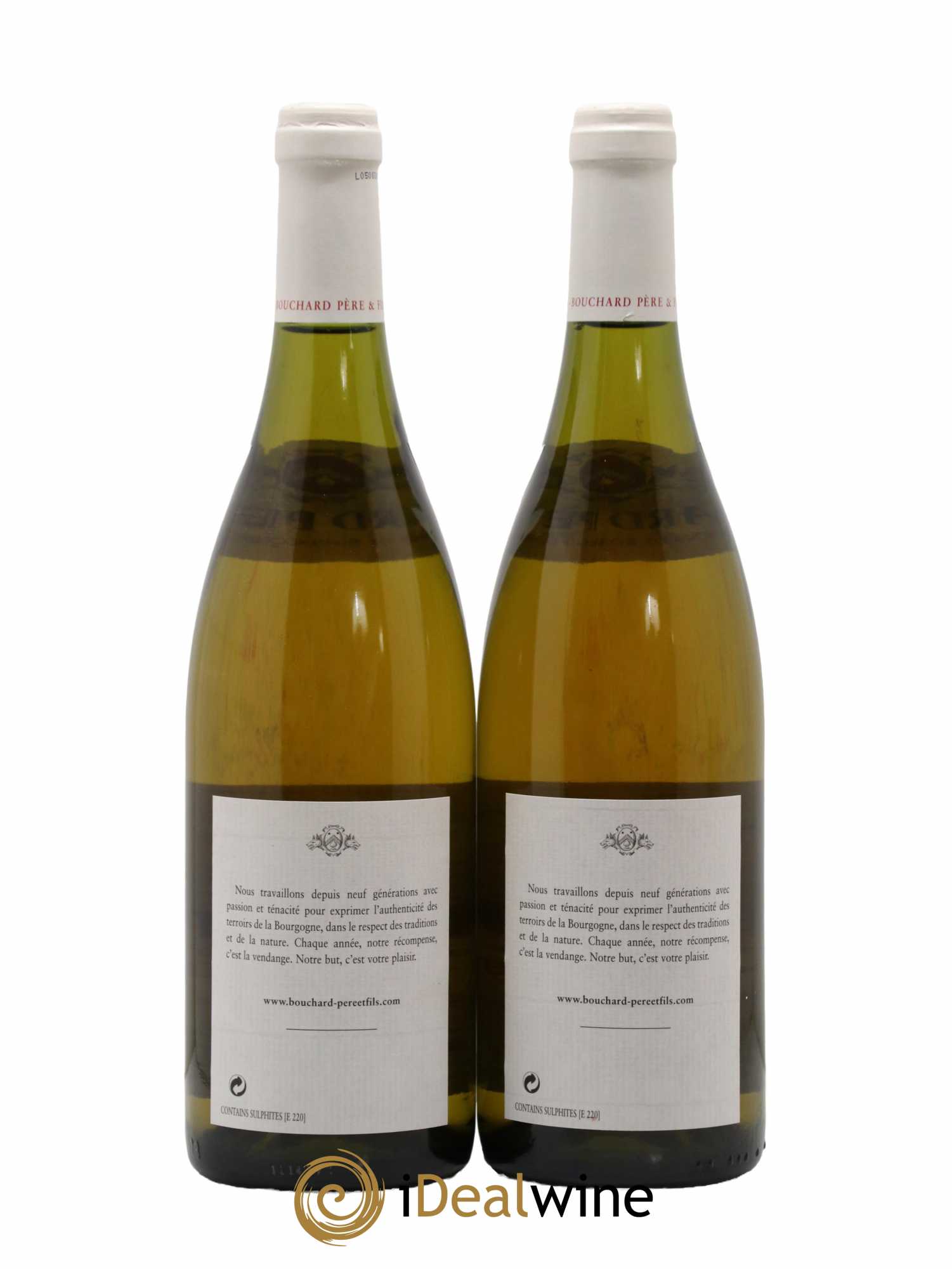 Chevalier-Montrachet Grand Cru La Cabotte Bouchard Père & Fils 2003 - Lot de 2 bouteilles - 1