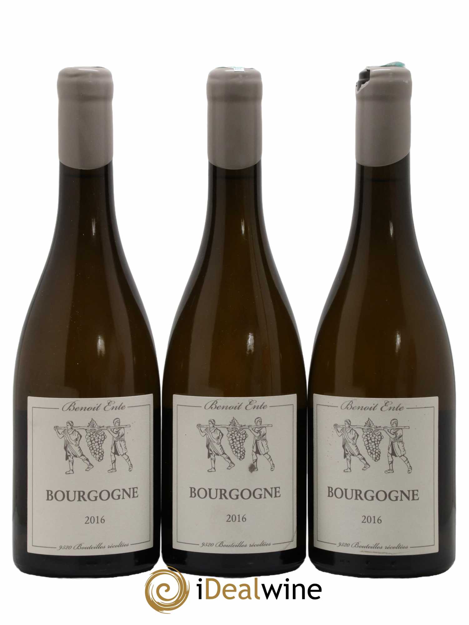 Bourgogne Chardonnay Benoit Ente 2016 - Lot de 3 bouteilles - 0