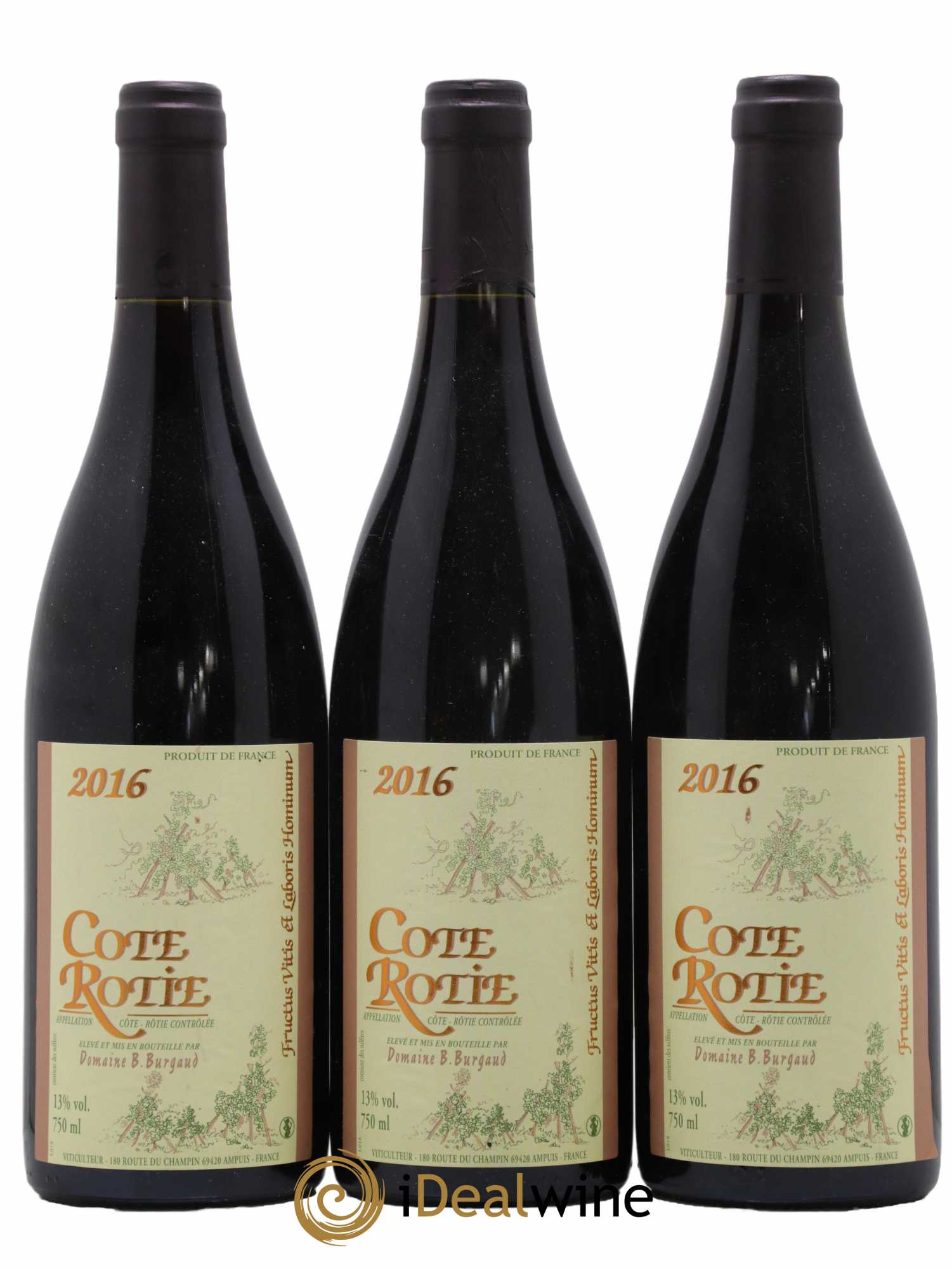 Côte-Rôtie Bernard Burgaud 2016 - Lot de 3 bouteilles - 0