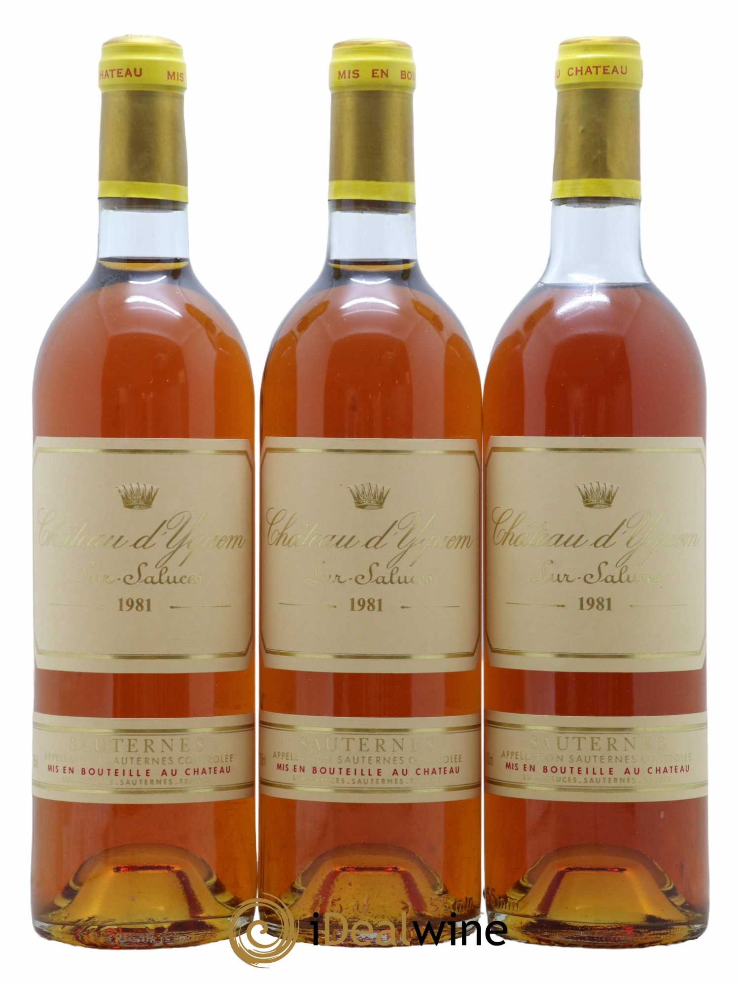 Château d' Yquem 1er Cru Classé Supérieur 1981 - Lotto di 3 bottiglie - 0
