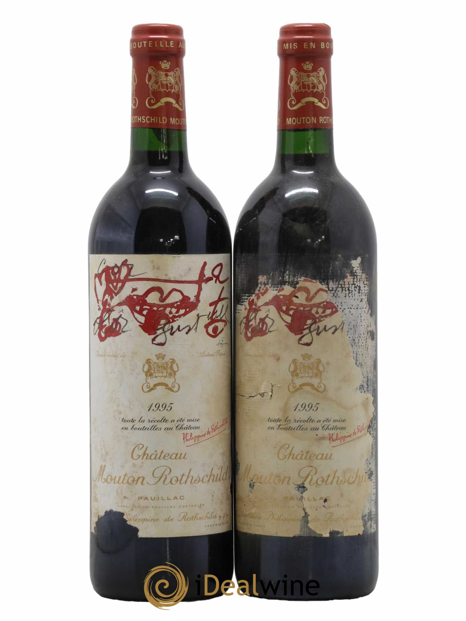 Caisse Primeurs 1995 - Posten von 12 Flaschen - 8