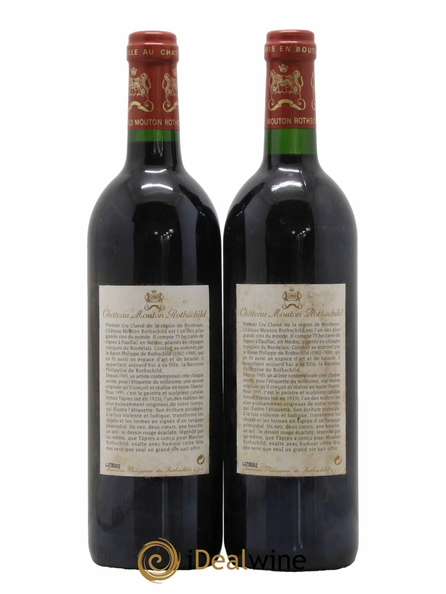 Caisse Primeurs  1995 - Posten von 12 Flaschen - 4