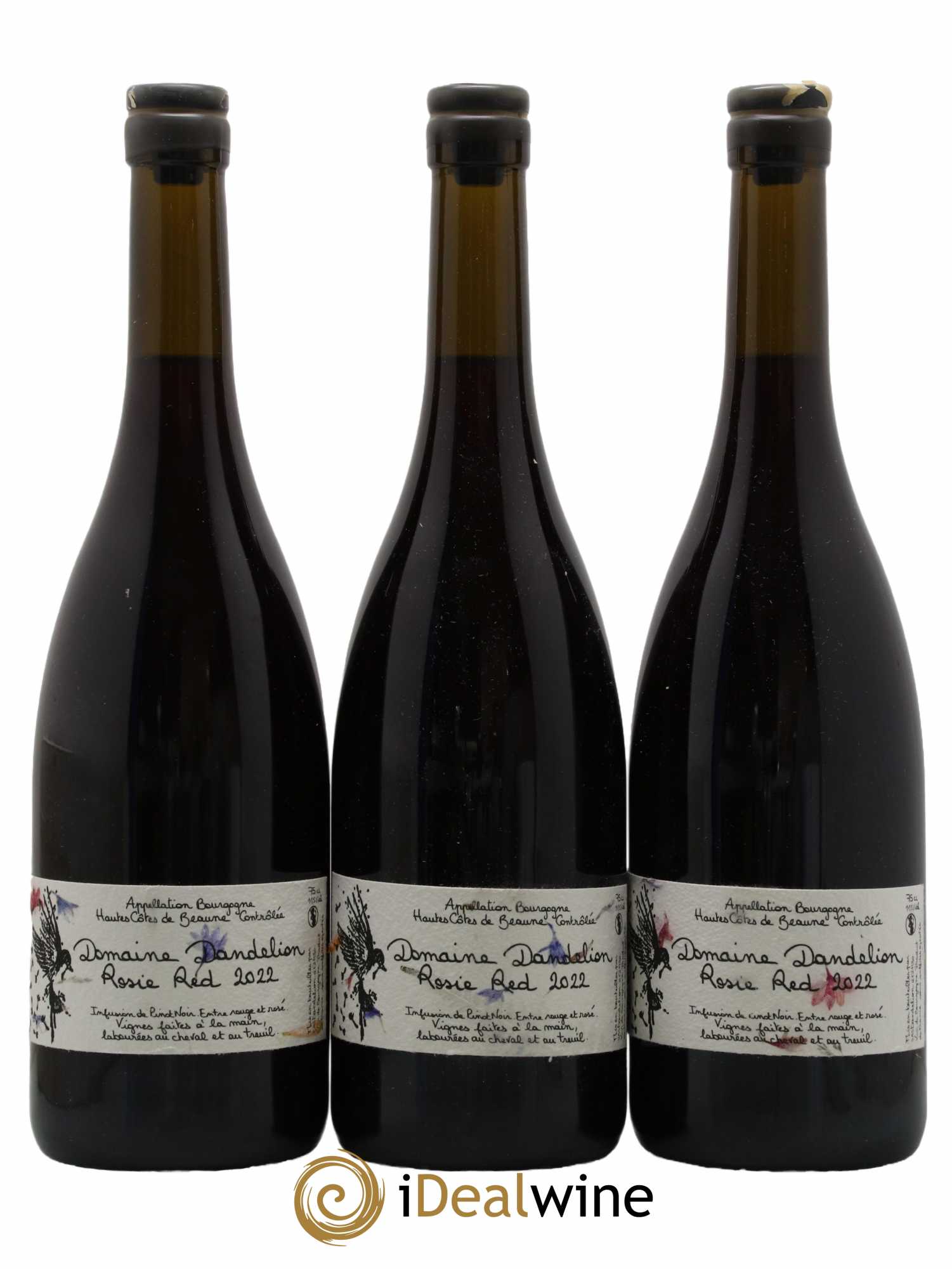 Hautes-Côtes de Beaune 2022 - Posten von 3 Flaschen - 0